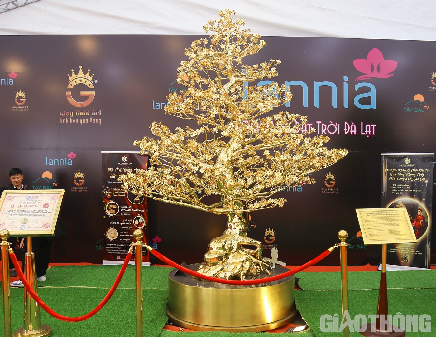 Những ng&agrave;y gần đ&acirc;y, một c&acirc;y mai mạ v&agrave;ng "khủng" được định gi&aacute; l&ecirc;n tới 5,5 tỷ đồng đang được trưng b&agrave;y tại gian h&agrave;ng hoa Tết gần SVĐ Quốc gia Mỹ Đ&igrave;nh (H&agrave; Nội) đ&atilde; thu h&uacute;t sự quan t&acirc;m của nhiều người.