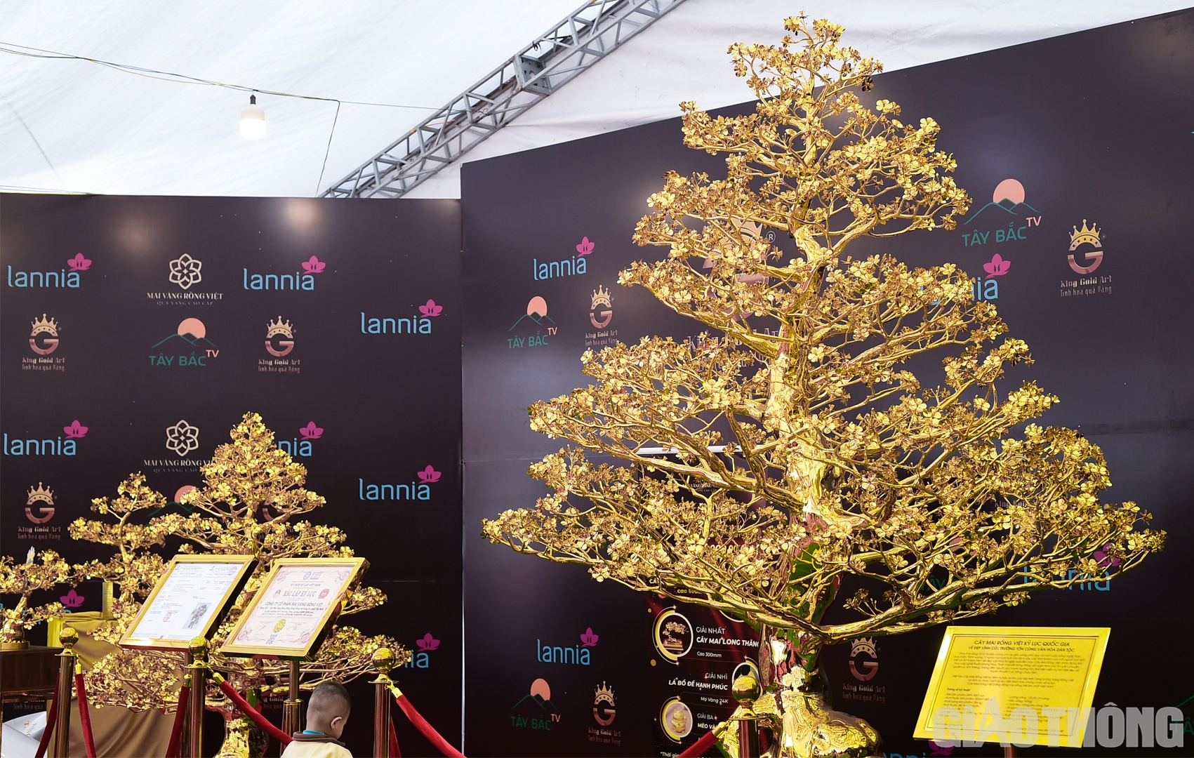 Theo giới thiệu, c&acirc;y mai đặc biệt n&agrave;y c&oacute; khối lượng 288 kg, cao khoảng 3m, đường k&iacute;nh 2m, được đ&uacute;c bằng đồng v&agrave; mạ v&agrave;ng với số lượng 120,96 chỉ v&agrave;ng 24K.