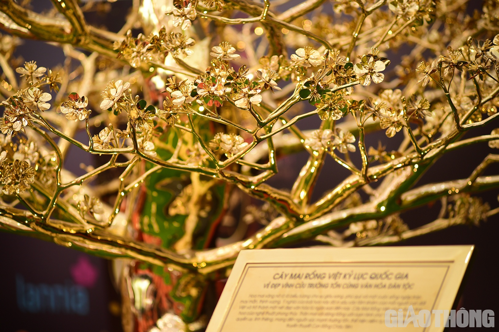 B&ecirc;n cạnh đ&oacute;, c&acirc;y mai mang &yacute; nghĩa thể hiện sự ph&uacute; qu&yacute;, may mắn, hạnh ph&uacute;c v&agrave; b&igrave;nh an.