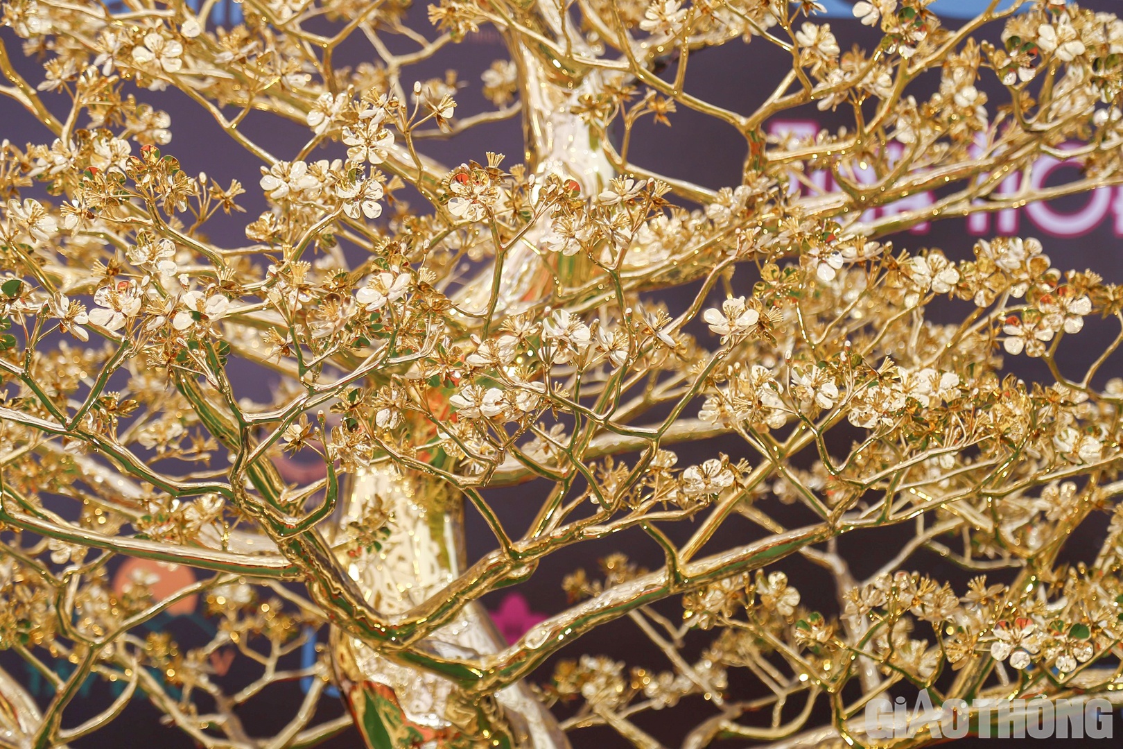 Th&acirc;n c&acirc;y d&aacute;ng rồng, uốn lượn h&igrave;nh chữ "S" uyển chuyển.