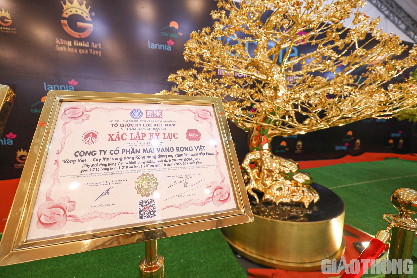 B&ecirc;n cạnh c&acirc;y mai l&agrave; tấm biển x&aacute;c nhận kỷ lục &ldquo;C&acirc;y mai v&agrave;ng d&aacute;ng rồng bằng đồng mạ v&agrave;ng lớn nhất Việt Nam".