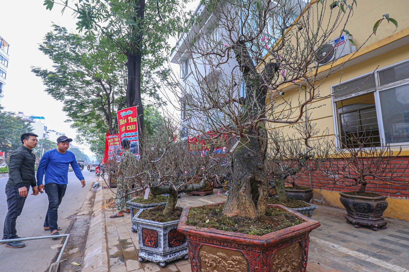 Chỉ còn 10 ngày nữa là đến Tết Nguyên đán Quý Mão 2023, ghi nhận của PV Báo Giao thông cho thấy, tại nhiều con đường ở Hà Nội, đã tràn ngập các cây, hoa cảnh.