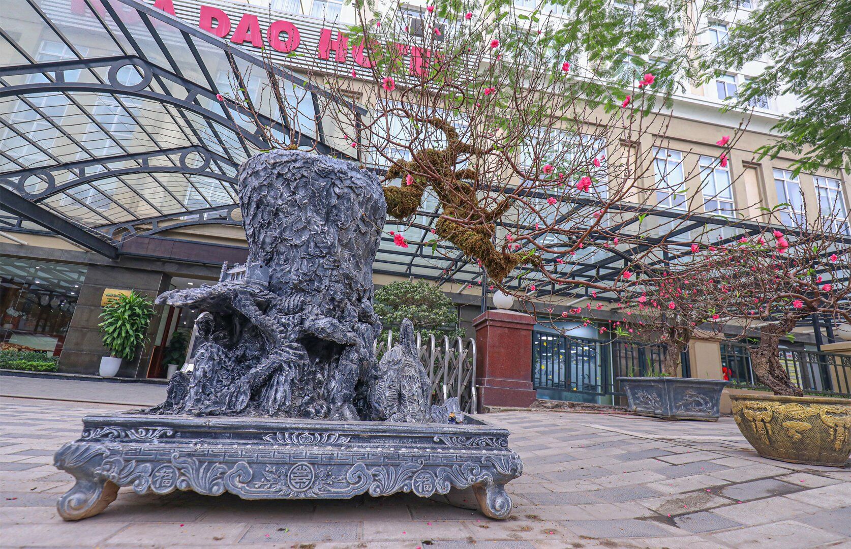 Ghi nhận thực tế của PV Báo Giao thông cũng cho thấy, dù chỉ còn 10 ngày nữa sẽ đến Tết Quý Mão, nhưng lượng người đi mua đào vẫn chưa nhiều.