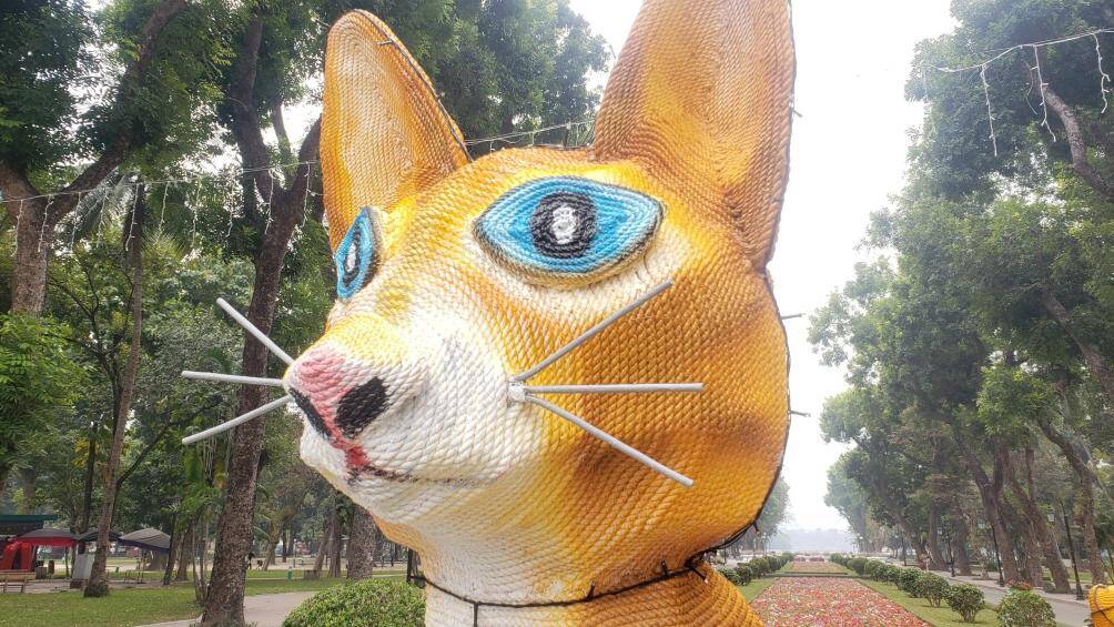 "Thời gian qua, khi cắt c&acirc;y đi, C&ocirc;ng ty đ&atilde; mua d&acirc;y nilon về để c&ocirc;ng nh&acirc;n tự quấn, vẽ th&agrave;nh h&igrave;nh con m&egrave;o như hiện nay, chi ph&iacute; khoảng 3-4 triệu đồng", vị đại diện cho hay.