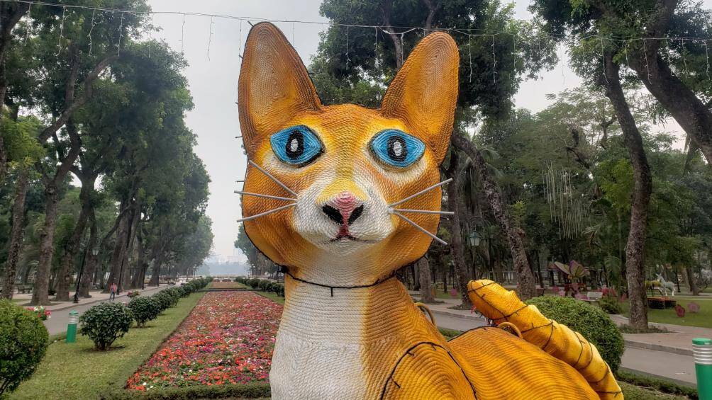 Một số người chia sẻ tr&ecirc;n mạng rằng: "M&egrave;o như c&aacute;o", "M&egrave;o ăn uống kiểu g&igrave; m&agrave; th&acirc;n nhỏ, bụng to", "M&egrave;o lại c&oacute; r&acirc;u chuột", "Kh&ocirc;ng thể tưởng tượng được đ&acirc;y l&agrave; con m&egrave;o"&hellip;