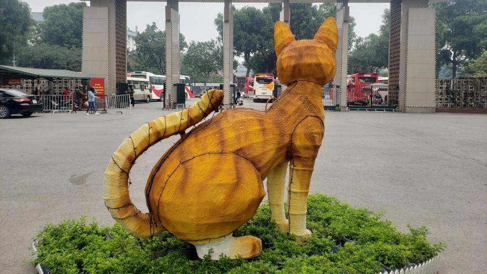 Th&acirc;n h&igrave;nh gầy g&ograve;, bụng to khiến d&aacute;ng ngồi của m&egrave;o bị mất c&acirc;n đối. Ngo&agrave;i ra, mặt v&agrave; r&acirc;u của m&egrave;o cũng khiến nhiều người nghĩ l&agrave; mặt c&aacute;o, r&acirc;u chuột.