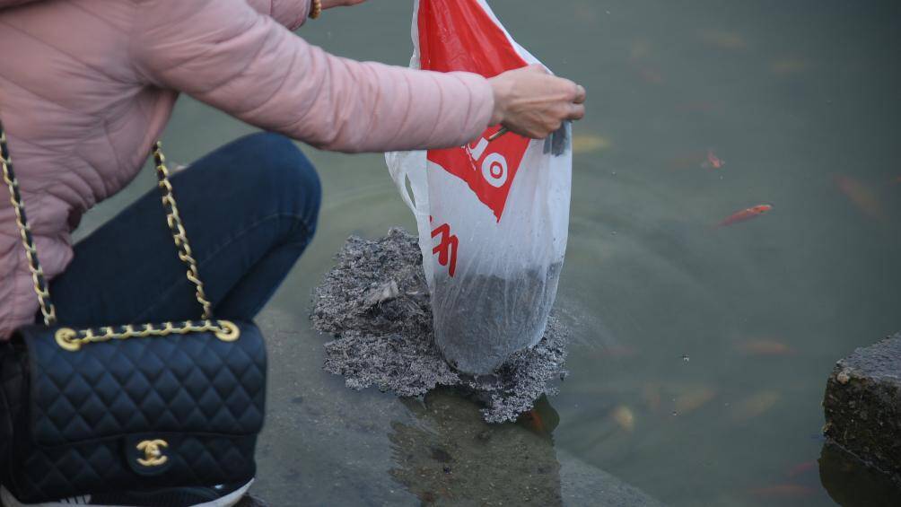 Kh&ocirc;ng chỉ thả c&aacute;, người d&acirc;n c&ograve;n mang tro đến để rải xuống mặt hồ.