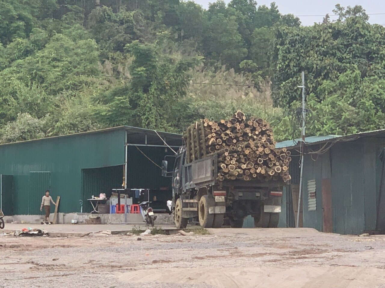 Kh&ocirc;ng chỉ tr&ecirc;n một số tuyến quốc lộ, nhiều tuyến đường huyện, đường li&ecirc;n x&atilde; tr&ecirc;n địa b&agrave;n tỉnh Quảng Ninh, t&igrave;nh trạng xe chở gỗ keo vượt qu&aacute; th&agrave;nh th&ugrave;ng cũng kh&ocirc;ng phải kh&oacute; gặp. Ảnh: Xe chở keo tập kết v&agrave;o một cơ sở tại huyện Hải H&agrave;.