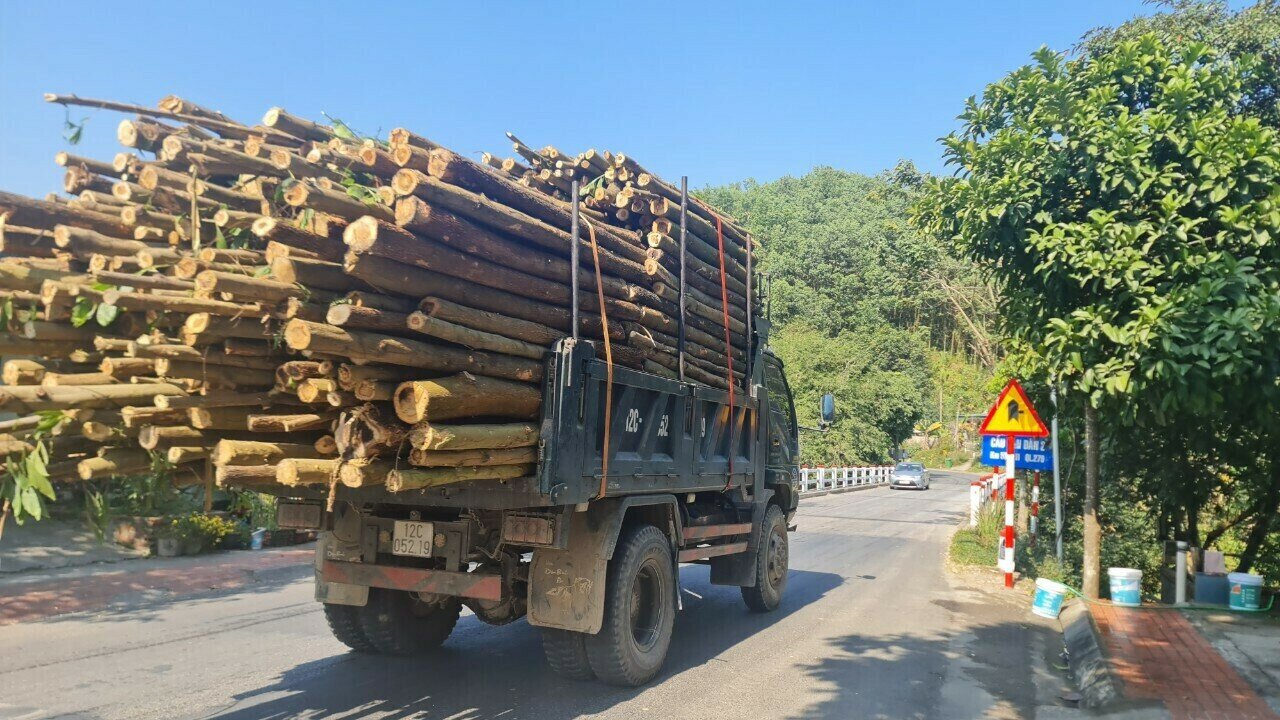 Thực tế, thời gian gần đ&acirc;y, tr&ecirc;n nhiều tuyến đường ở Quảng Ninh từ quốc lộ đến đường huyện, đường x&atilde;, xe chở gỗ, dăm gỗ vượt qu&aacute; th&agrave;nh, th&ugrave;ng diễn ra phổ biến, nhất l&agrave; tr&ecirc;n tuyến Quốc lộ 18A, Quốc lộ 279&hellip;
