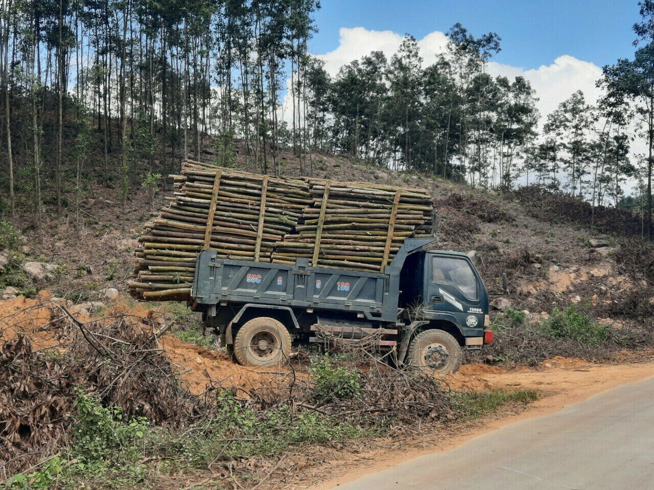 Ngo&agrave;i ra, nhiều phương tiện chở dăm gỗ kh&ocirc;ng chỉ nghi vấn qu&aacute; tải m&agrave; c&ograve;n g&acirc;y &ocirc; nhiễm m&ocirc;i trường tr&ecirc;n một số cung đường. Ảnh: Chiếc xe n&agrave;y chở gỗ lưu th&ocirc;ng tr&ecirc;n tuyến đường từ trung t&acirc;m TP U&ocirc;ng B&iacute; v&agrave;o x&atilde; Thượng Y&ecirc;n C&ocirc;ng vượt qu&aacute; nhiều so với quy định.