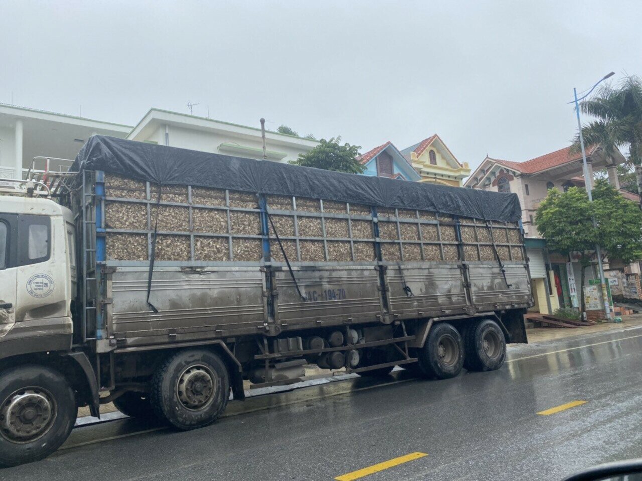 Nhiều chiếc xe chở dăm gỗ tr&ecirc;n Quốc lộ 279, đoạn qua địa b&agrave;n TP Hạ Long phủ bạt chỉ một phần đ&atilde; l&agrave;m dăm gỗ rơi v&atilde;i xuống đường, bay v&agrave;o mắt người điều khiển xe th&ocirc; sơ, xe gắn m&aacute;y.