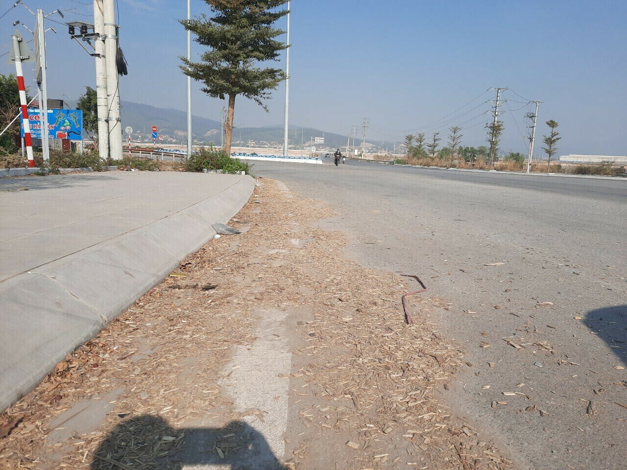 Dăm gỗ rơi xuống th&agrave;nh đống tr&ecirc;n Quốc lộ 279 đoạn qua phường Việt Hưng, TP Hạ Long.