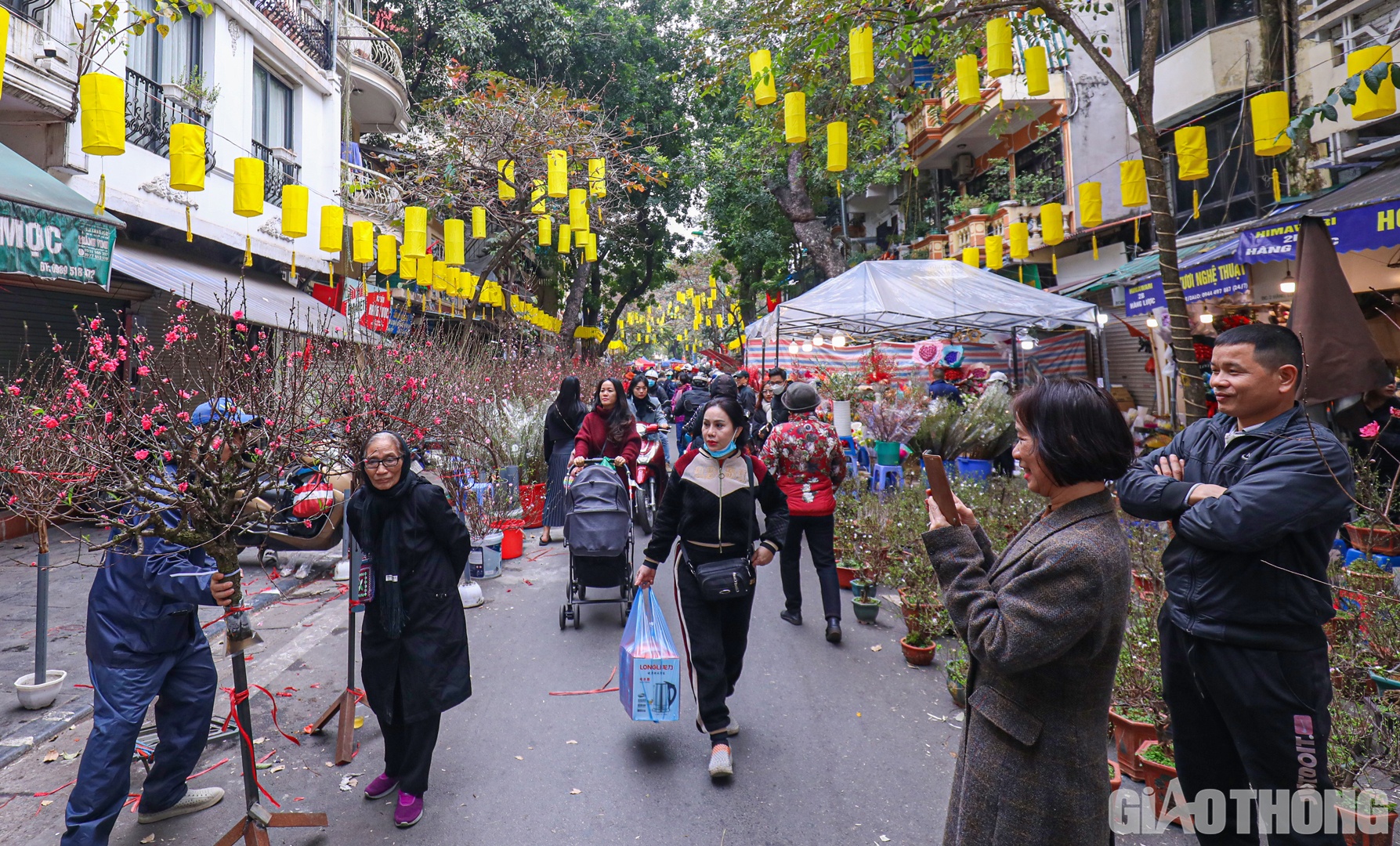 Chợ hoa H&agrave;ng Lược (quận Ho&agrave;n Kiếm, H&agrave; Nội) từ l&acirc;u đ&atilde; trở th&agrave;nh một n&eacute;t sinh hoạt độc đ&aacute;o của người d&acirc;n phố cổ, cũng như người d&acirc;n Thủ đ&ocirc; H&agrave; Nội.