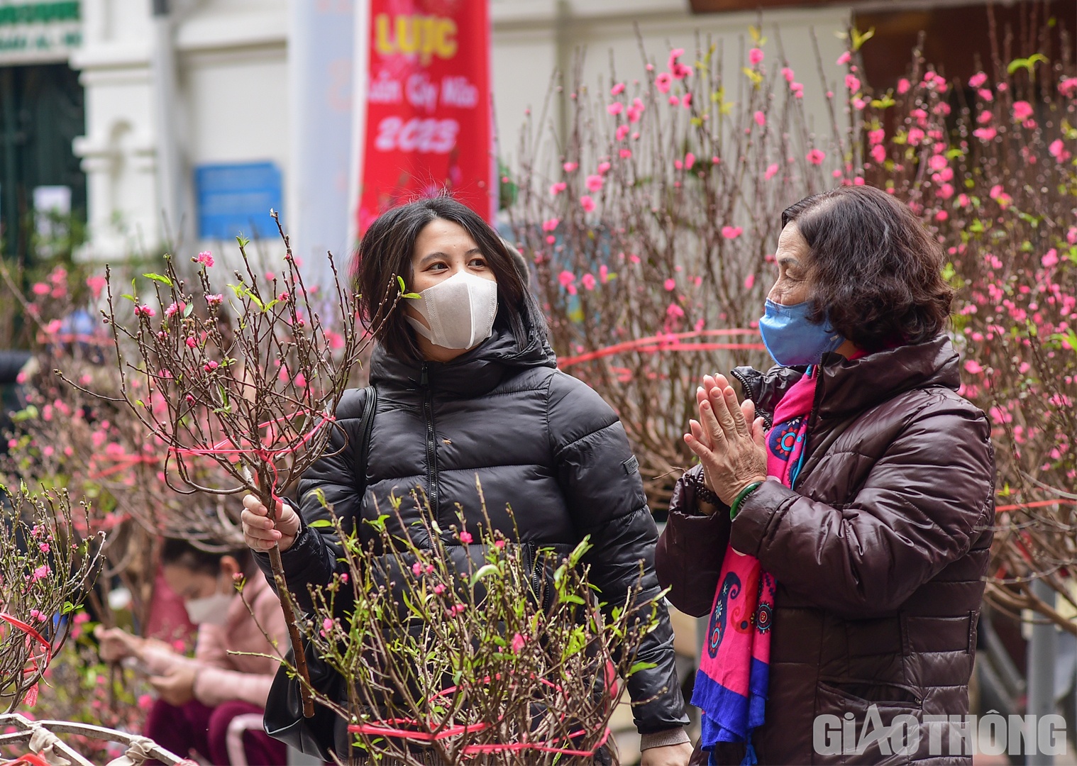 Theo ghi nhận của PV B&aacute;o Giao th&ocirc;ng thời điểm n&agrave;y, chợ hoa đ&atilde; rất nhộn nhịp, mang đậm kh&ocirc;ng kh&iacute; Tết H&agrave; th&agrave;nh.