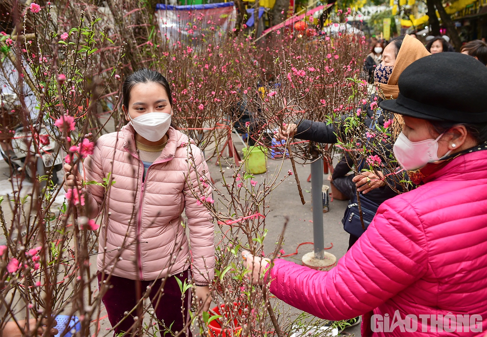 5 năm b&aacute;n đ&agrave;o Tết ở chợ hoa H&agrave;ng Lược, chị Mai Lan Phương cho hay: "Những ng&agrave;y cận Tết, lượng kh&aacute;ch đến mua đ&atilde; tăng mạnh, trung b&igrave;nh mỗi ng&agrave;y t&ocirc;i b&aacute;n được khoảng 150 c&agrave;nh".