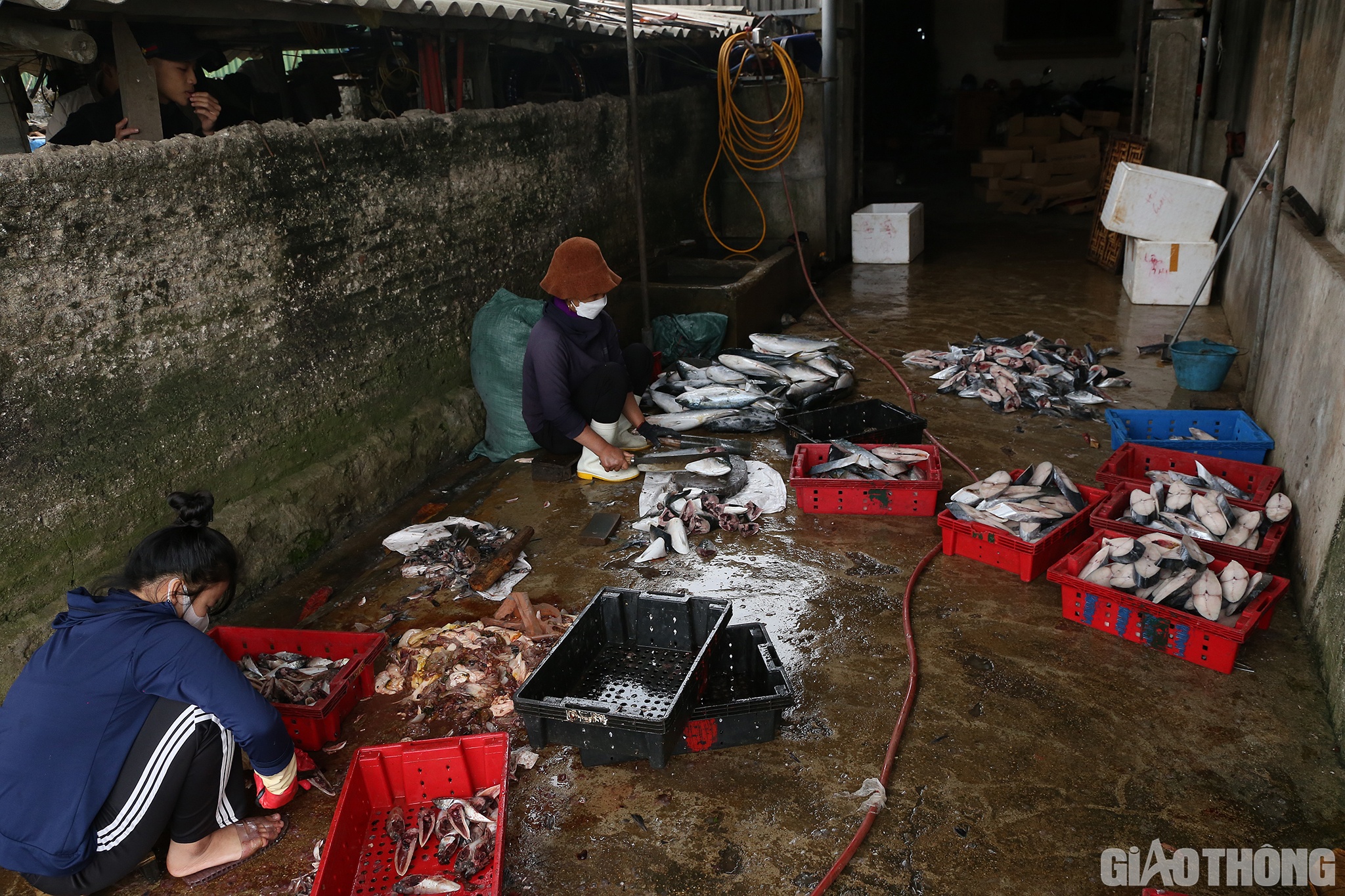 Hầu hết chủ c&aacute;c l&ograve; đều kh&ocirc;ng l&agrave;m nghề biển, nhưng nướng c&aacute; đ&atilde; l&agrave; nghề truyền thống l&acirc;u đời của người d&acirc;n nơi đ&acirc;y. Nhiều gia đ&igrave;nh đ&atilde; truyền lại nhiều thế hệ, từ đời n&agrave;y sang đời kh&aacute;c.