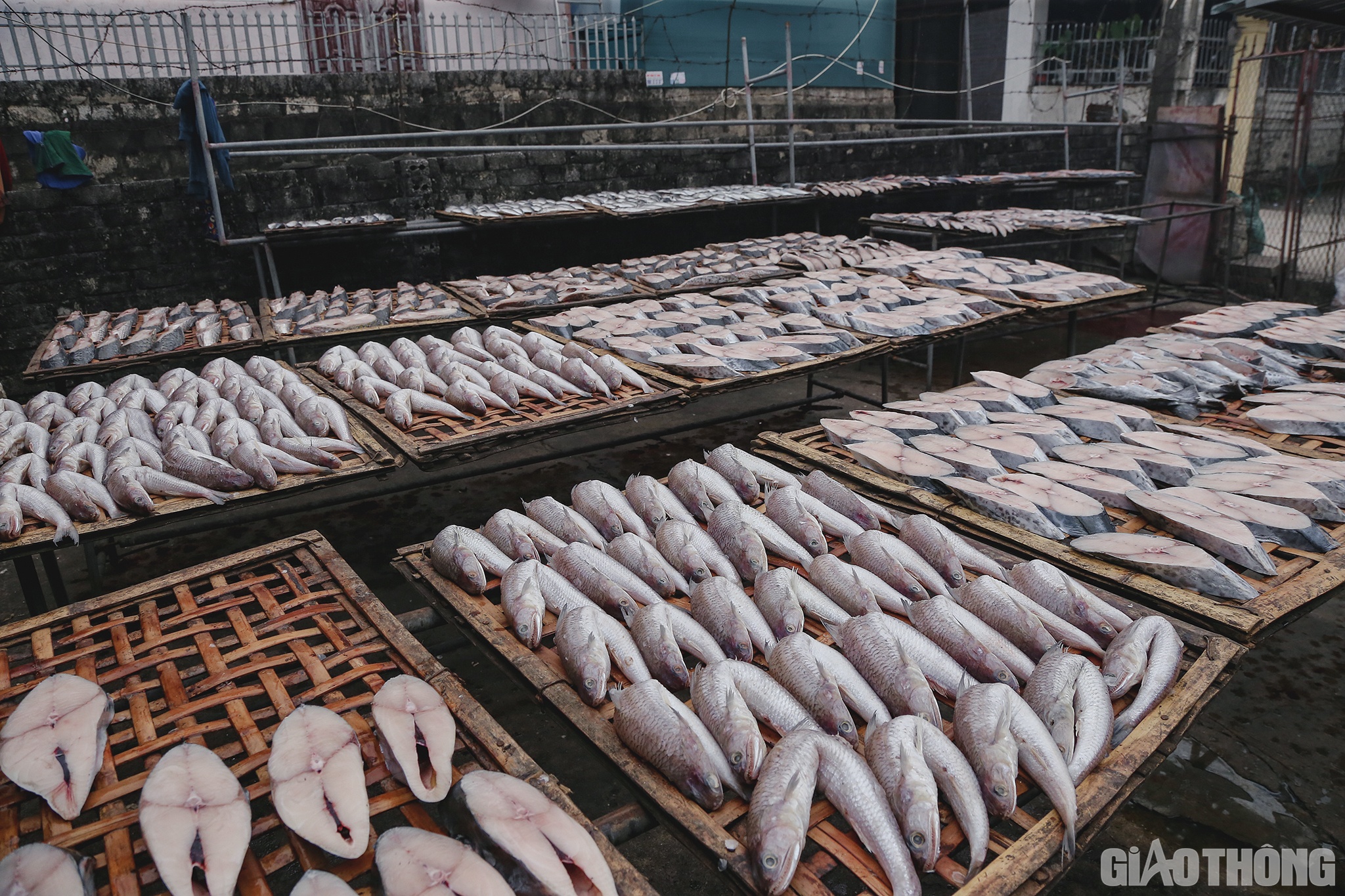 &ldquo;B&igrave;nh thường gia đ&igrave;nh nướng khoảng hơn 2 tạ c&aacute;, đủ c&aacute;c loại, từ k&iacute;ch thước nhỏ như c&aacute; tr&iacute;ch, cơm... Thế nhưng, đến gần Tết, do nhu cầu của kh&aacute;ch h&agrave;ng n&ecirc;n gia đ&igrave;nh chỉ l&agrave;m c&aacute;c loại c&aacute; to như c&aacute; thu, c&aacute; lượng&hellip; khối lượng cũng l&ecirc;n đến hơn 4 tạ&rdquo;, anh Long n&oacute;i v&agrave; cho biết th&ecirc;m: