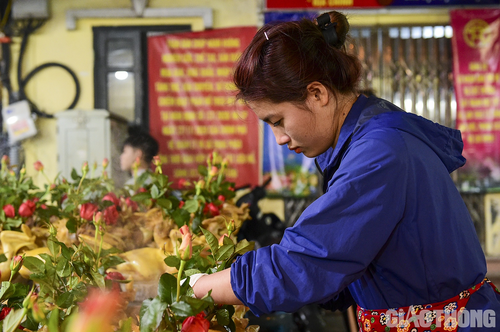 Mỗi con g&agrave; ngậm hoa hồng năm nay c&oacute; gi&aacute; dao động khoảng 500.000 đến 800.000 đồng/con, t&ugrave;y theo k&iacute;ch cỡ v&agrave; c&acirc;n nặng.