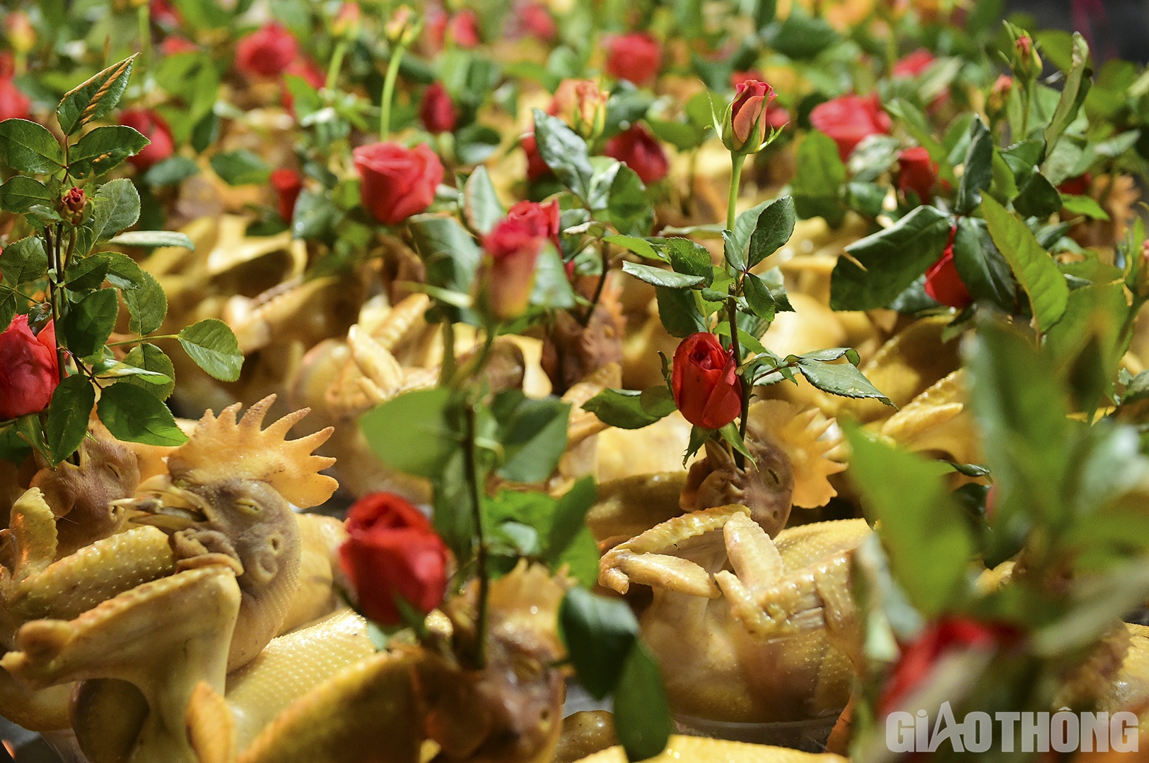 Như mọi năm, g&agrave; luộc ngậm hoa hồng l&agrave; mặt h&agrave;ng đắt kh&aacute;ch nhất tại khu chợ n&agrave;y. Những con g&agrave; trống luộc v&agrave;ng ươm, đầu g&agrave; ngậm b&ocirc;ng hoa hồng chớm nở.