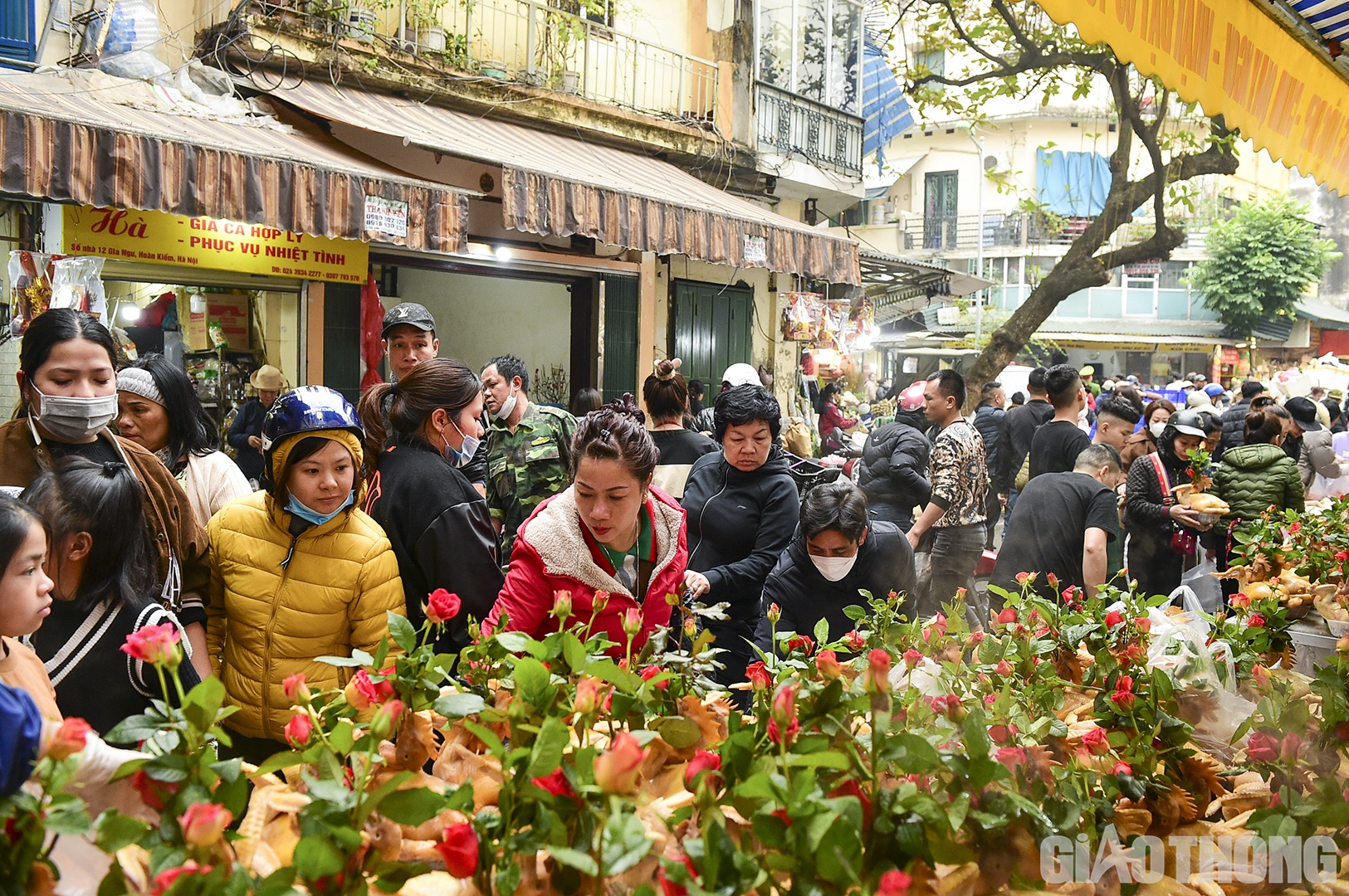 "L&agrave; m&oacute;n quan trọng nhất trong m&acirc;m lễ c&uacute;ng Giao thừa n&ecirc;n kh&aacute;ch h&agrave;ng rất kỹ t&iacute;nh khi lựa chọn con g&agrave;, d&ugrave; l&agrave; kh&aacute;ch quen hay kh&aacute;ch lẻ", anh Nam chia sẻ.