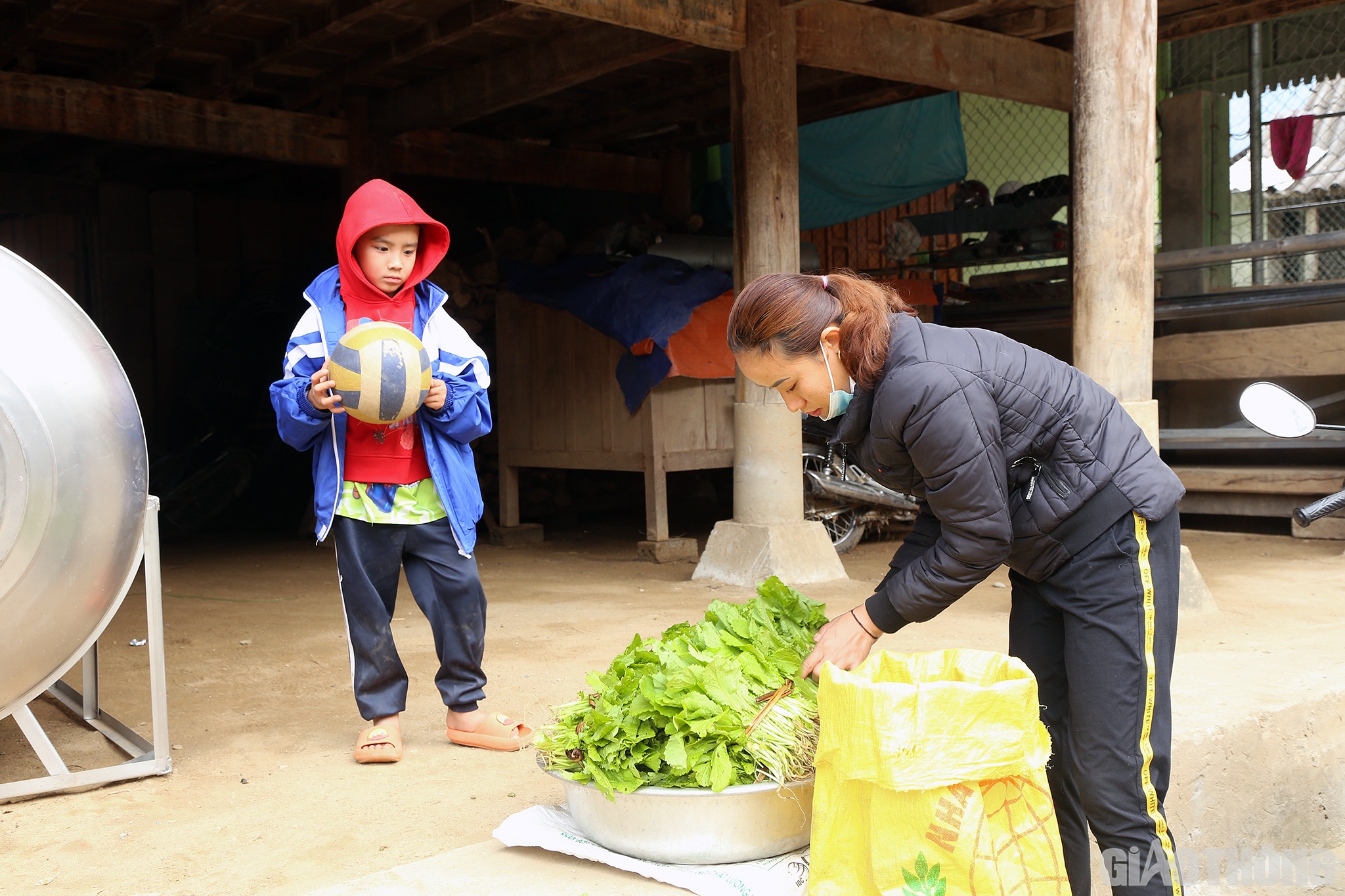 C&ugrave;ng với rau trong vườn, vợ chồng anh Khăm kh&ocirc;ng ngừng chăm s&oacute;c c&aacute;c vườn rau tr&ecirc;n c&aacute;c nương n&uacute;i. Rau xanh, sạch n&ecirc;n lu&ocirc;n được người d&acirc;n săn đ&oacute;n. Chị Vi Thị Ti&ecirc;n (vợ anh Khăm) cho biết: Giữa kh&oacute; khăn bủa v&acirc;y, đ&acirc;y cũng l&agrave; nguồn thu nhập ch&iacute;nh cho gia đ&igrave;nh, nhất l&agrave; khi Tết đang cận kề.