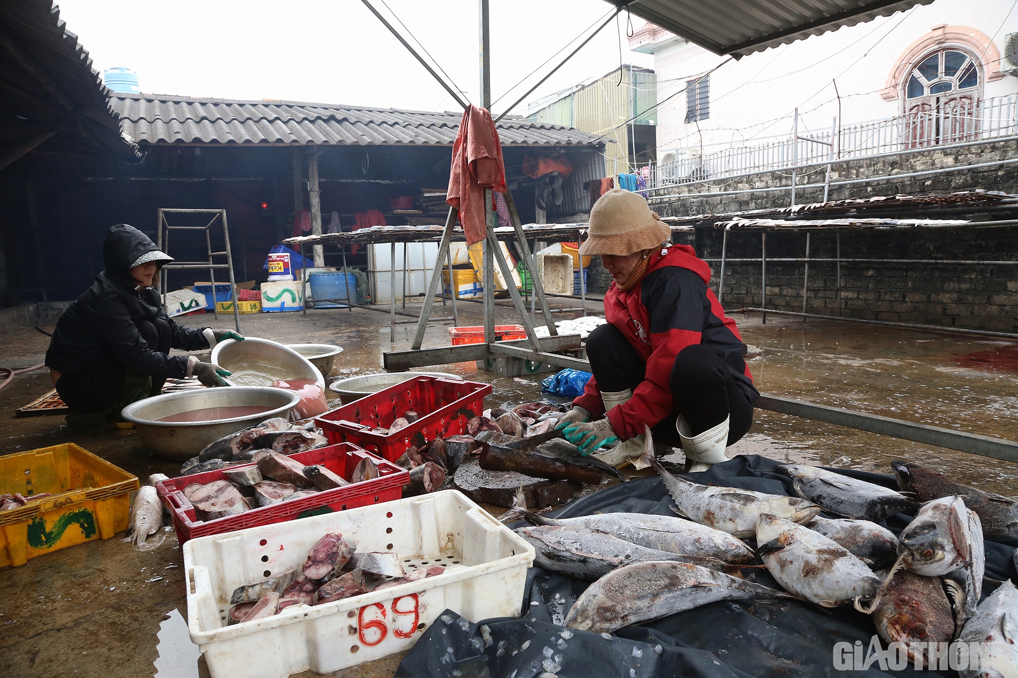 Cũng l&agrave; một chủ l&ograve; nướng c&aacute; l&acirc;u năm ở l&agrave;ng Trung Hậu, chị Trần Thị Bảy (&aacute;o đỏ b&igrave;a phải) cho biết: Nghề nướng c&aacute; tuy kh&ocirc;ng nặng nề nhưng vất vả kh&ocirc;ng k&eacute;m, nhất l&agrave; m&ugrave;a Tết. Trời m&ugrave;a đ&ocirc;ng, nước lạnh như cắt, người thợ phải xả đ&ocirc;ng, rồi ng&acirc;m tay trong nước lạnh nhiều giờ liền; rồi phải ngồi l&agrave;m c&aacute;, nướng c&aacute; cả ng&agrave;y n&ecirc;n rất mỏi lưng&hellip;