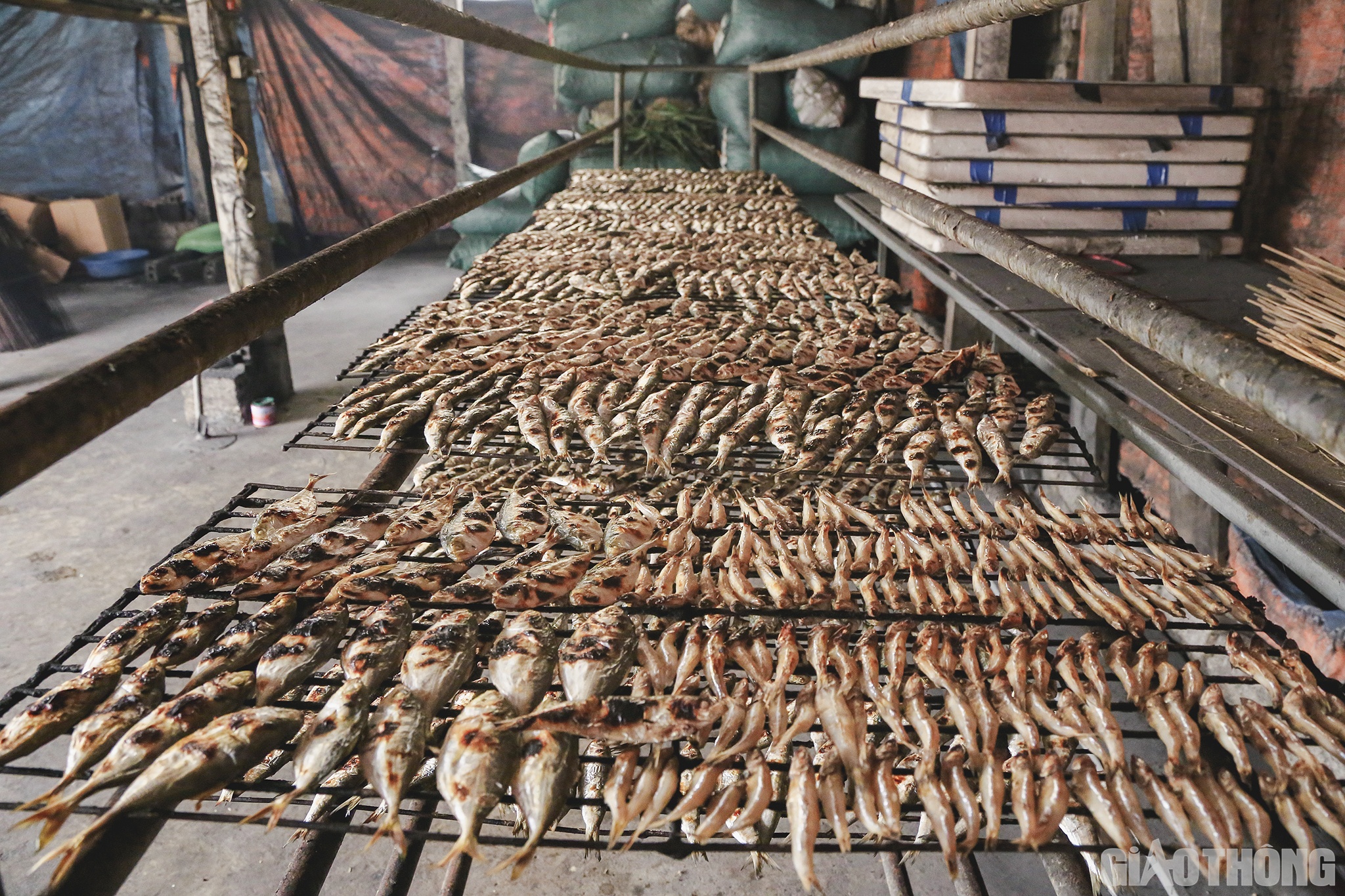 Chị Ngọc cho biết: B&igrave;nh thường, do nhu cầu của kh&aacute;ch n&ecirc;n gia đ&igrave;nh chỉ nướng những loại c&aacute; nhỏ. Tết về th&igrave; chuyển sang nướng c&aacute; to, b&ecirc;n cạnh người trong nh&agrave;, gia đ&igrave;nh c&ograve;n thu&ecirc; 1 đến 2 người phụ gi&uacute;p. Trong l&agrave;ng hiện nay c&oacute; khoảng 35 l&ograve; nướng c&aacute;, hầu hết đều như vậy.