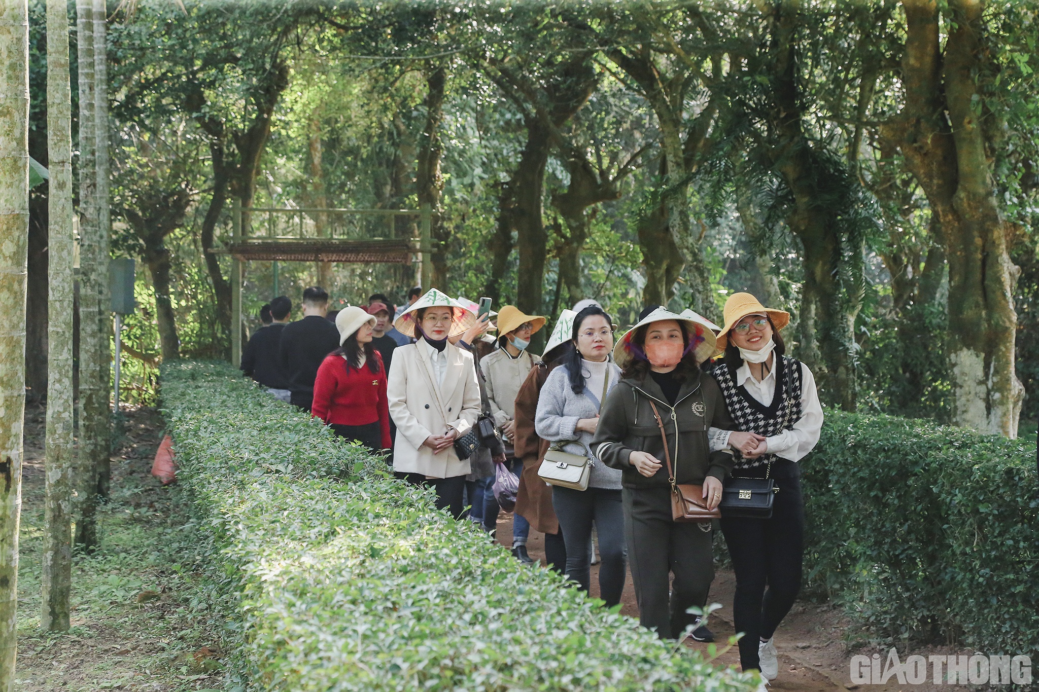 Cũng như gia đ&igrave;nh anh Đức, gia đ&igrave;nh anh Chu Minh Quyết v&agrave; chị Trần Tuấn Ngọc đ&atilde; vượt hơn 300km từ H&agrave; Nội để về thăm qu&ecirc; B&aacute;c dịp đầu năm mới. Vui nhất l&agrave; 2 con nhỏ của anh chị, ng&agrave;y thường sống ở H&agrave; Nội đ&ocirc;ng đ&uacute;c, nay được thỏa th&iacute;ch dưới những b&oacute;ng c&acirc;y cổ thụ, b&ecirc;n h&agrave;ng hoa b&ocirc;ng bụt, được bố mẹ giới thiệu về gia đ&igrave;nh, cuộc đời của B&aacute;c Hồ.