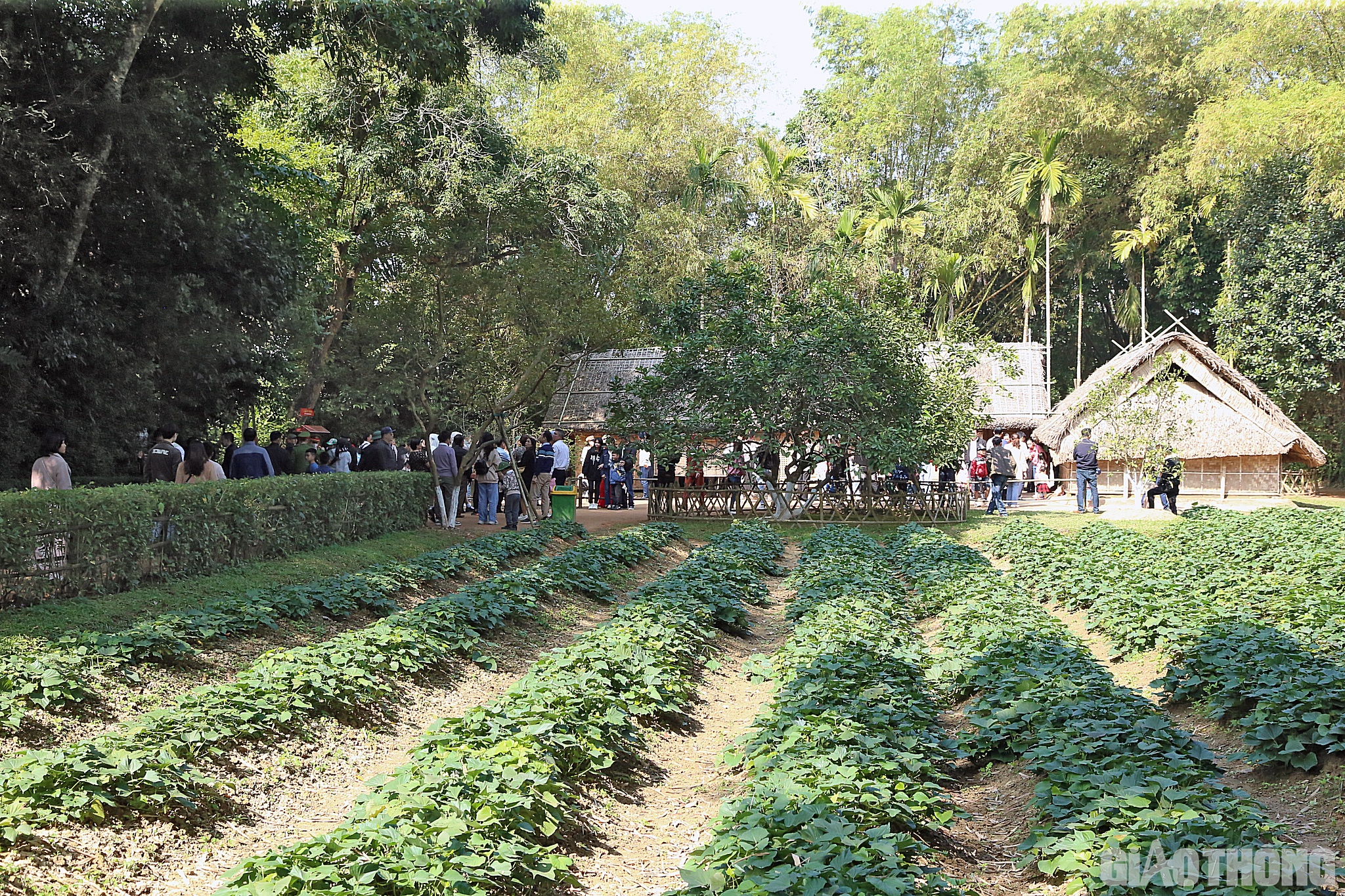Tại l&agrave;ng Sen qu&ecirc; nội, d&ograve;ng người nối ch&acirc;n nhau v&agrave;o thăm ng&ocirc;i nh&agrave; tranh của th&acirc;n mẫu B&aacute;c v&agrave; những gia đ&igrave;nh l&aacute;ng giềng, sau đ&oacute; di chuyển tham quan nh&agrave; trưng b&agrave;y c&aacute;c tư liệu về B&aacute;c Hồ, v&agrave;o nh&agrave; tưởng niệm Chủ tịch Hồ Ch&iacute; Minh&hellip;