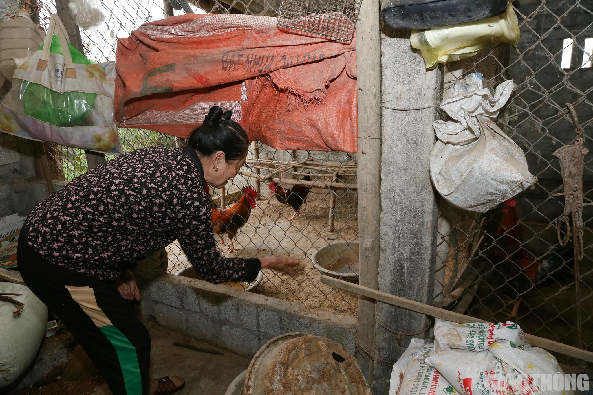 Đang cho đ&agrave;n g&agrave; ăn, vợ &ocirc;ng Toản kh&ocirc;ng giấu được niềm vui: L&ecirc;n đ&acirc;y cao r&aacute;o, rộng r&atilde;i, thoải m&aacute;i hơn nhiều. Nh&agrave; mới, vườn rộng, c&ograve;n c&oacute; th&ecirc;m chỗ nu&ocirc;i g&agrave;, vịt&hellip; N&oacute;i chung l&agrave; nơi ở mới tốt hơn nơi ở cũ.