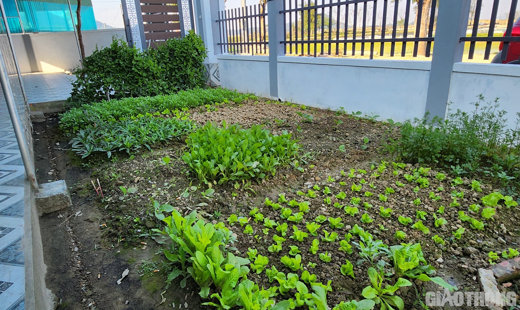 Theo anh Thắng, ở chỗ cũ, gia đ&igrave;nh anh c&oacute; gần 500m2, ra nơi ở mới gia đ&igrave;nh anh được bố tr&iacute; diện t&iacute;ch đất bằng nơi ở cũ. Căn nh&agrave; cũ rộng 100m2 được gia đ&igrave;nh anh x&acirc;y dựng từ năm 2010 được Nh&agrave; nước đền b&ugrave; 1 tỷ đồng. Ra nơi ở mới, rộng r&atilde;i, tho&aacute;ng m&aacute;t n&ecirc;n anh chọn x&acirc;y dựng nh&agrave; mới theo kiểu biệt thự vườn, nh&agrave; m&aacute;i Th&aacute;i 1 tầng, rộng 180m2 với 4 ph&ograve;ng ngủ, 1 ph&ograve;ng thờ, 1 ph&ograve;ng kh&aacute;ch, 1 ph&ograve;ng bếp&hellip; Diện t&iacute;ch c&ograve;n lại anh d&ugrave;ng trồng c&acirc;y xanh, l&agrave;m vườn rau v&agrave; khu chuồng trại nu&ocirc;i g&agrave;.