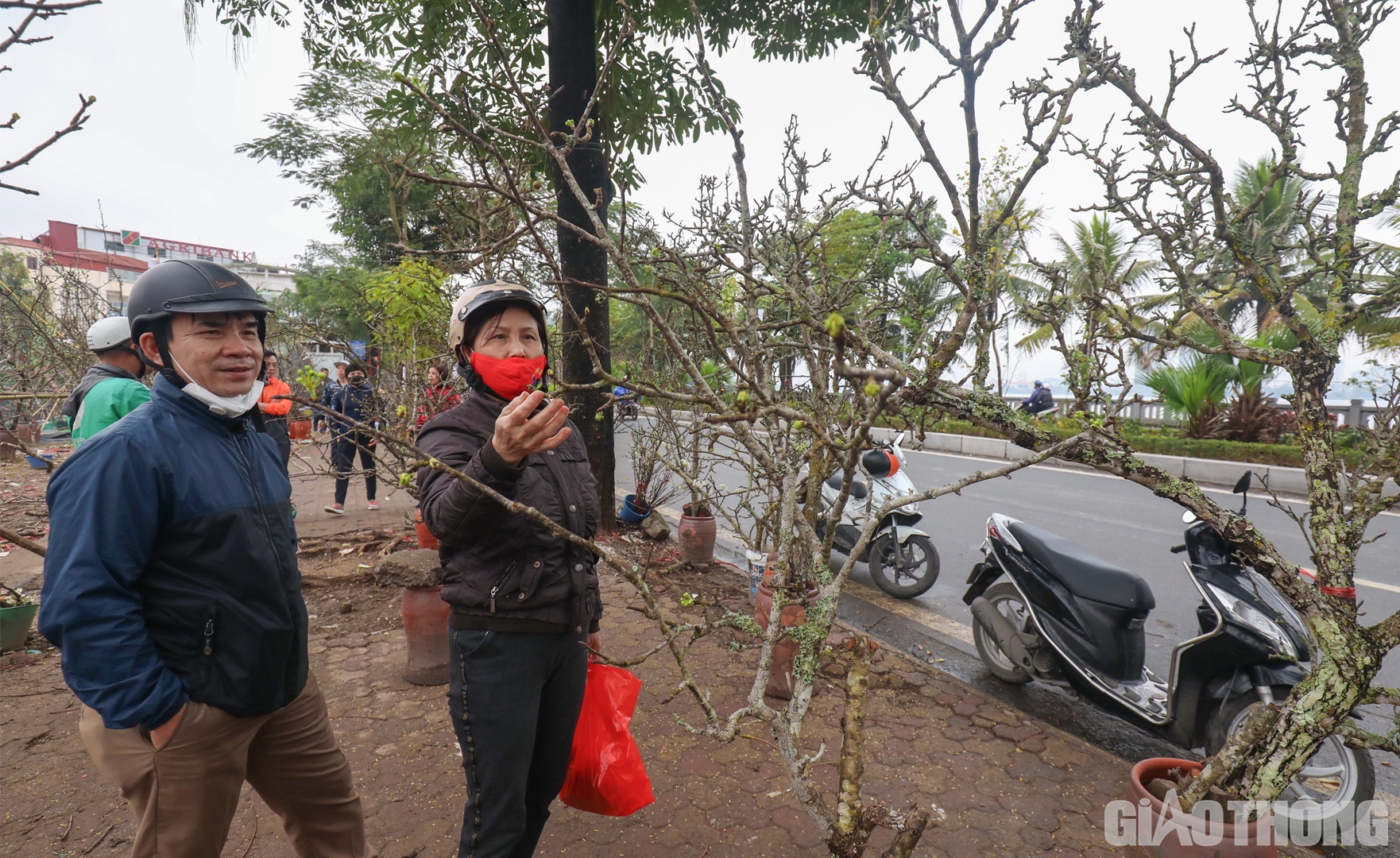 Ai cũng tỉ mỉ lựa chọn cho gia đ&igrave;nh một c&agrave;nh hoa l&ecirc; ưng &yacute; nhất để mang về.