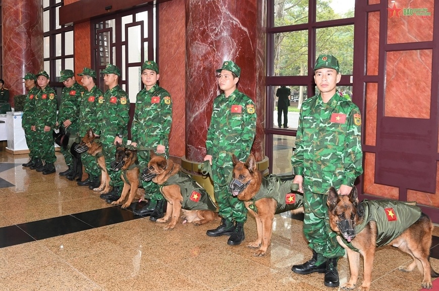 Đội Ch&oacute; nghiệp vụ t&igrave;m kiếm cứu nạn sẵn s&agrave;ng l&ecirc;n đường thực hiện nhiệm vụ.