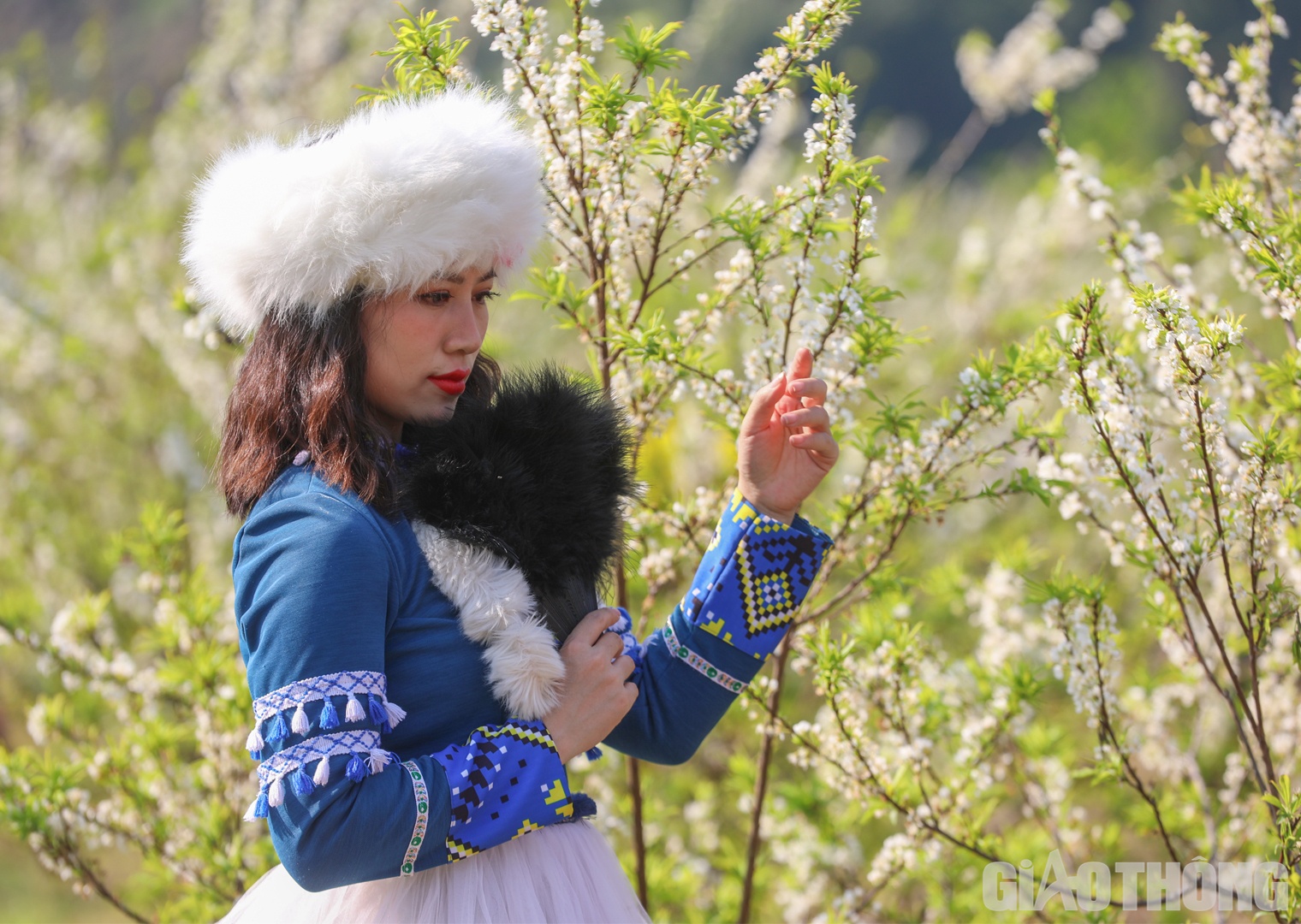 Vé vào vườn mận vui chơi, chụp ảnh dao động từ 20.000 - 30.000 đồng/người.