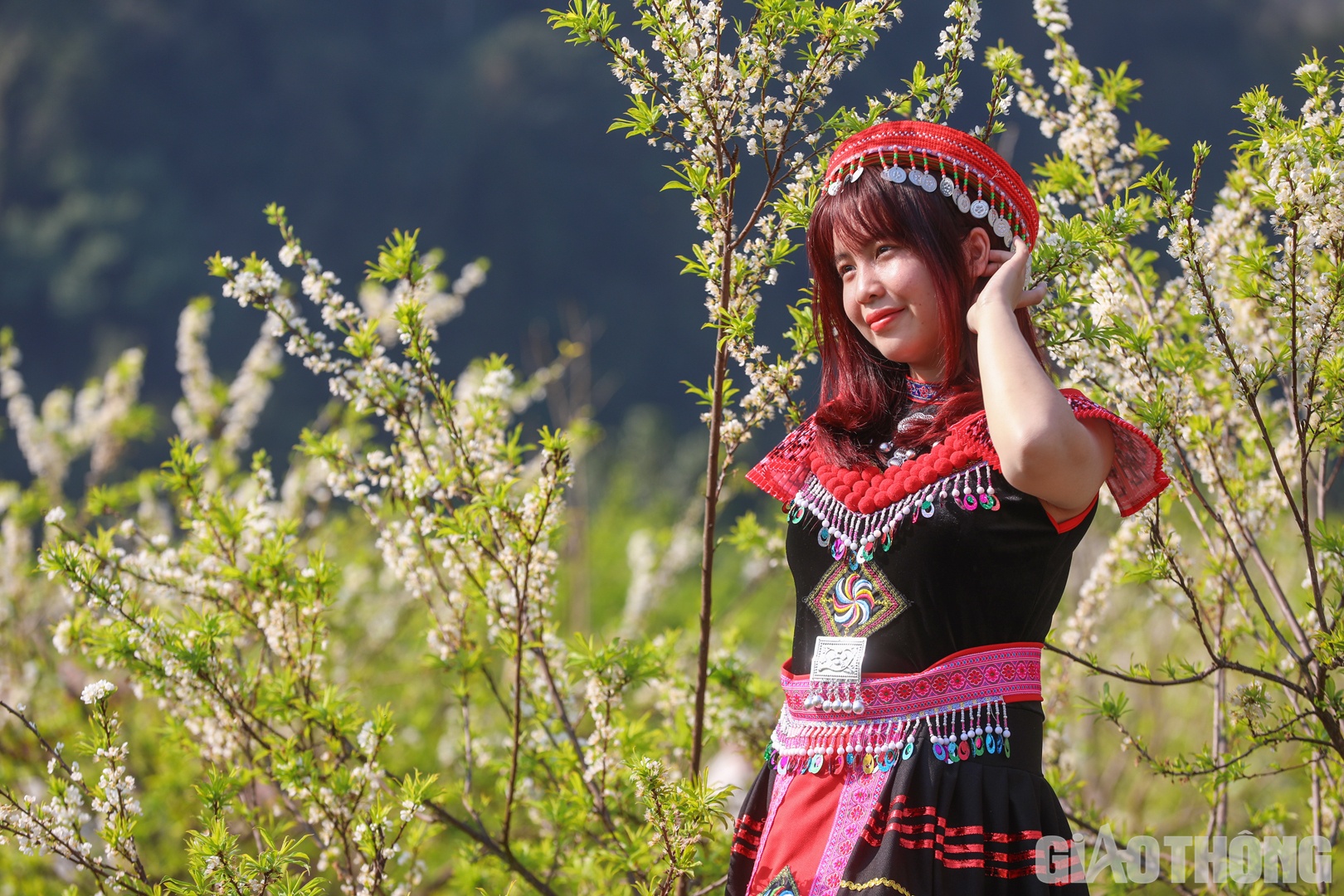 Tranh thủ đi du lịch cùng gia đình dịp cuối tuần, bạn Đặng Thùy Anh (huyện Thanh Trì, Hà Nội) bày tỏ: "Dù hoa không còn nở nhiều nhưng em vẫn sẽ cố gắng chọn cho mình những góc đẹp nhất để chụp ảnh check in".