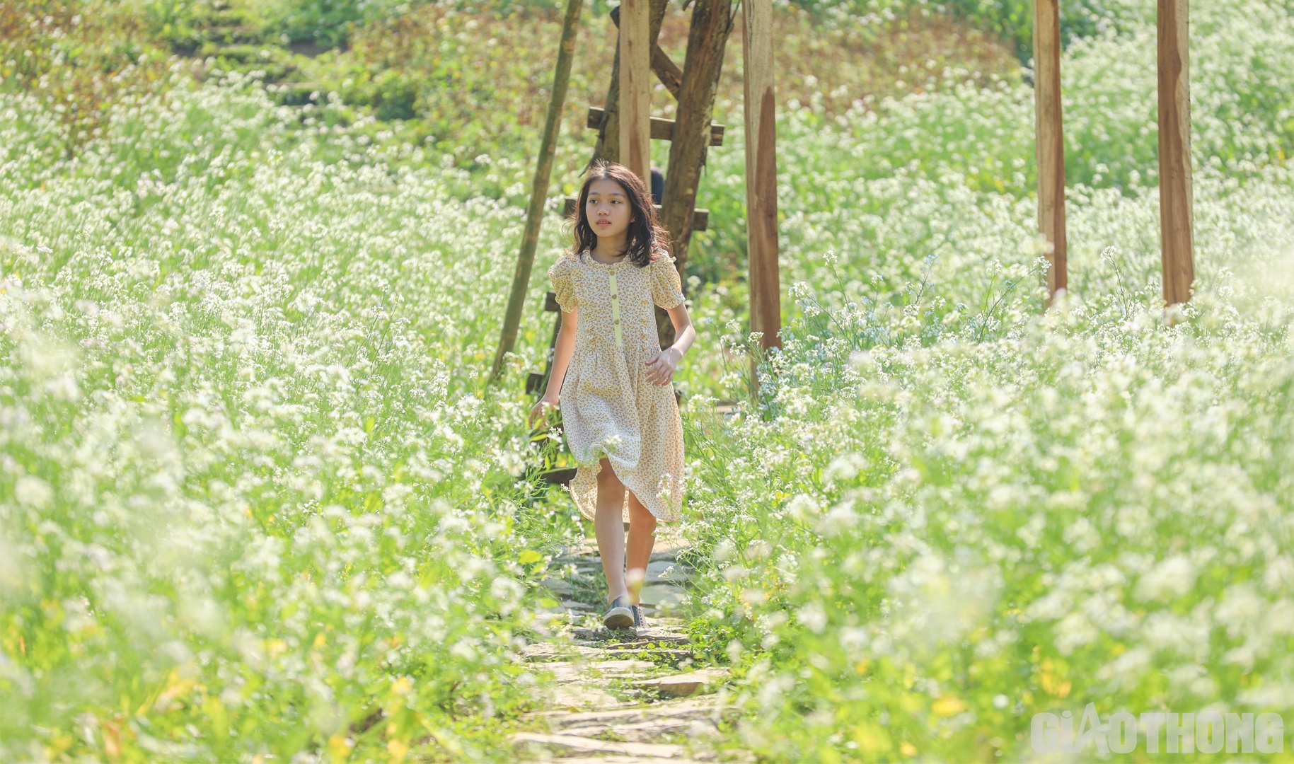 C&aacute;c em nhỏ cũng được gia đ&igrave;nh đưa tới đ&acirc;y vui chơi.