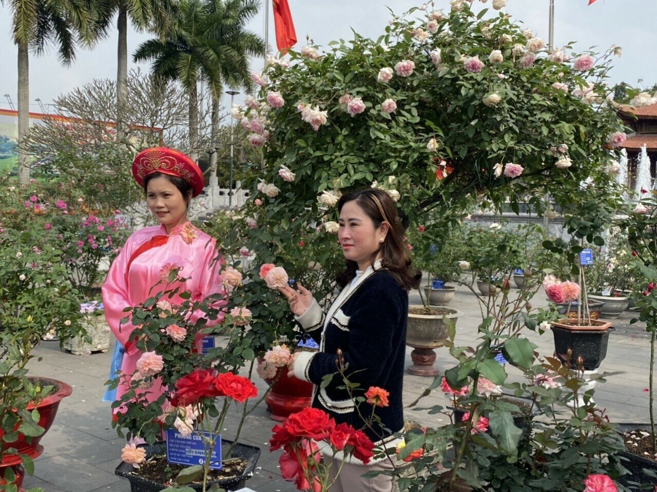 Một điểm mới nữa của lễ hội đền Cửa &Ocirc;ng l&agrave; Ban tổ chức đ&atilde; bố tr&iacute; triển l&atilde;m, trưng b&agrave;y hoa hồng tại khu vực Đ&agrave;i tưởng niệm c&aacute;c Anh h&ugrave;ng Liệt sỹ trong kh&ocirc;ng gian khu di t&iacute;ch. Do đ&oacute;, du kh&aacute;ch c&ograve;n được thỏa sức ngắm, chụp ảnh b&ecirc;n những c&acirc;y hồng đang ch&uacute;m ch&iacute;m nụ...