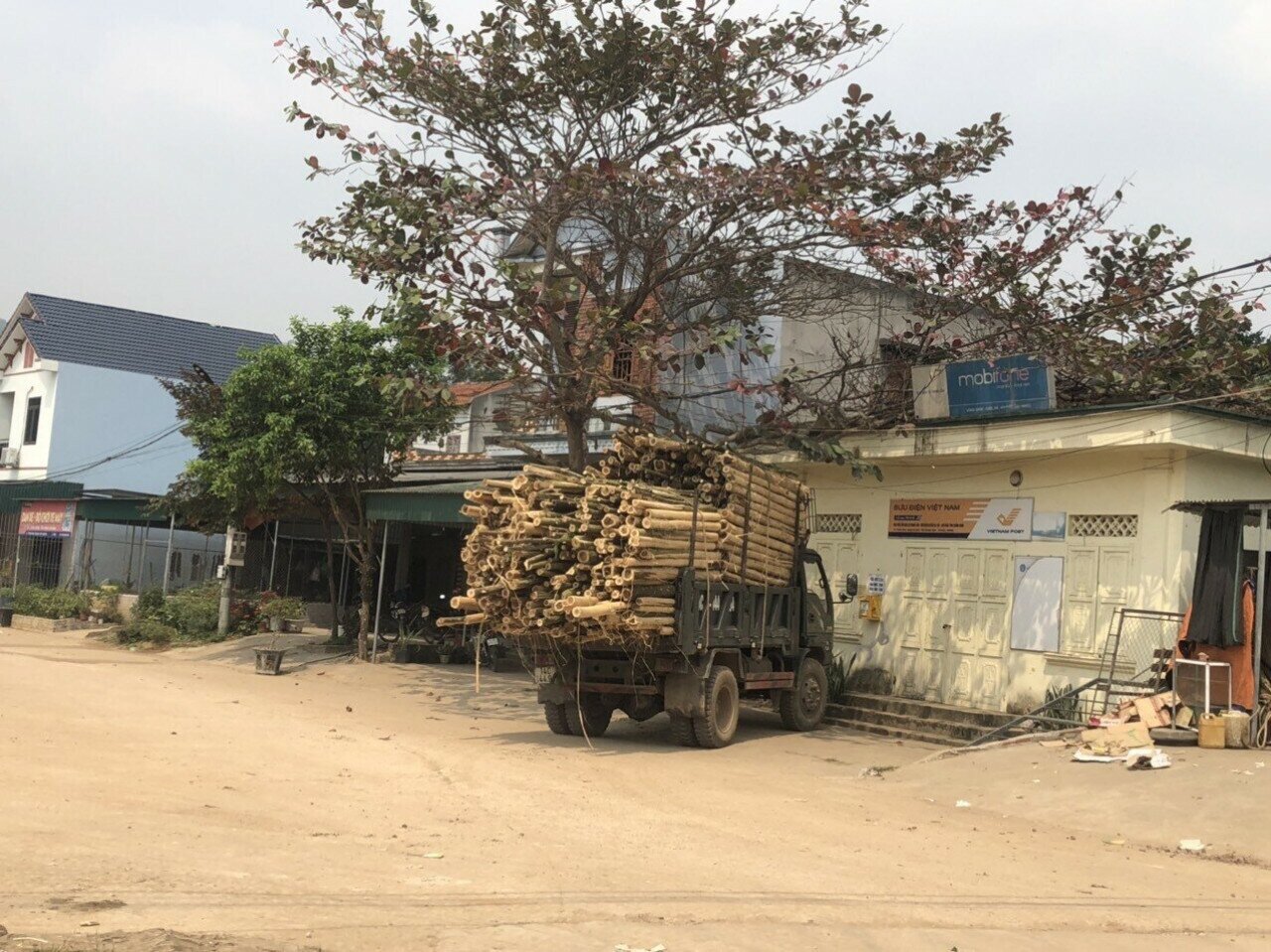 Vừa tránh một đoàn xe keo nghênh ngang vượt dốc, chị Trần Thị Nghi, nhà ở xã Thanh Lâm, huyện Ba Chẽ cho biết: Nhiều khi ra đường gặp những chiếc xe chở gỗ thế này, bà con lo lắng lắm. Bởi vì, chẳng may gỗ trên thùng đứt dây chằng rơi xuống hay vào khúc cua, xe lật đè vào người thì hậu quả khó lường.