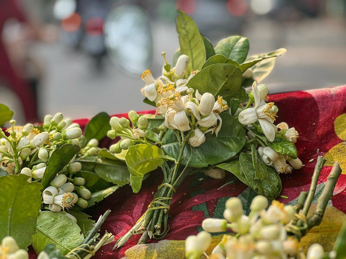 "Ch&iacute;nh v&igrave; thời gian ngắn n&ecirc;n mang đi th&uacute;ng hoa n&agrave;o l&agrave; hết th&uacute;ng đấy. Người d&acirc;n họ cũng th&iacute;ch m&ugrave;i hoa bưởi v&igrave; hương thơm d&igrave;u dịu", chị Thuyết n&oacute;i.
