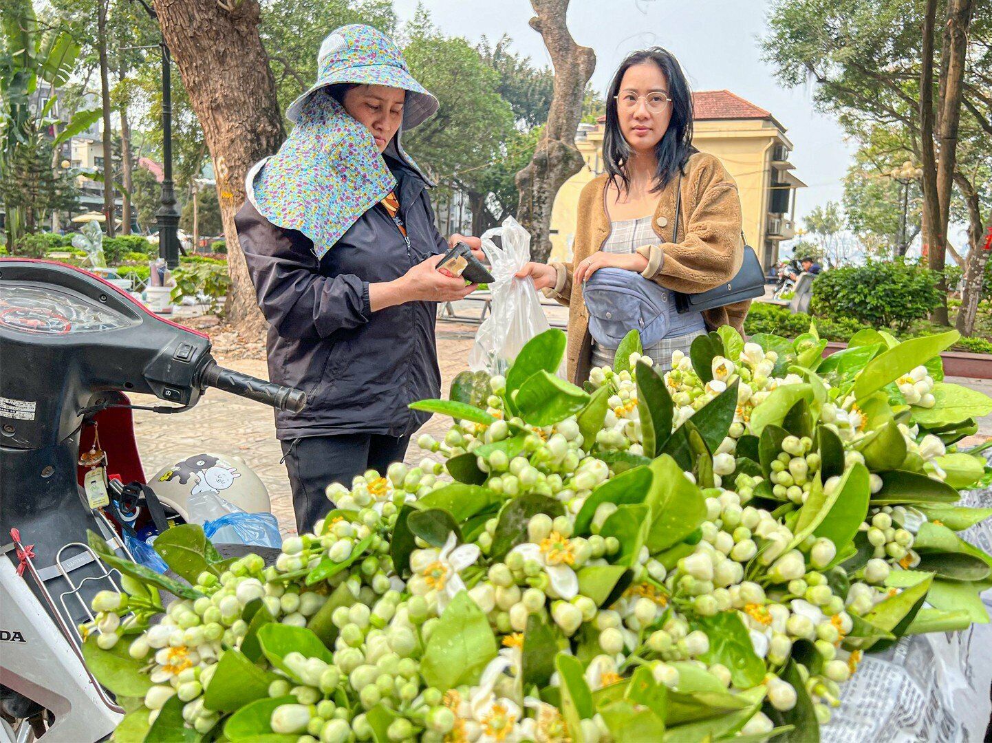 "Những ng&agrave;y n&agrave;y, cứ 1 tuần t&ocirc;i lại mua 2 b&oacute; nhỏ hoa bưởi, 1 b&oacute; để ph&ograve;ng kh&aacute;ch ở nh&agrave;, 1 b&oacute; để ở chỗ l&agrave;m. Hoa rất thơm, tạo sự thoải m&aacute;i gi&uacute;p tinh thần sảng kho&aacute;i", chị Linh cho hay.