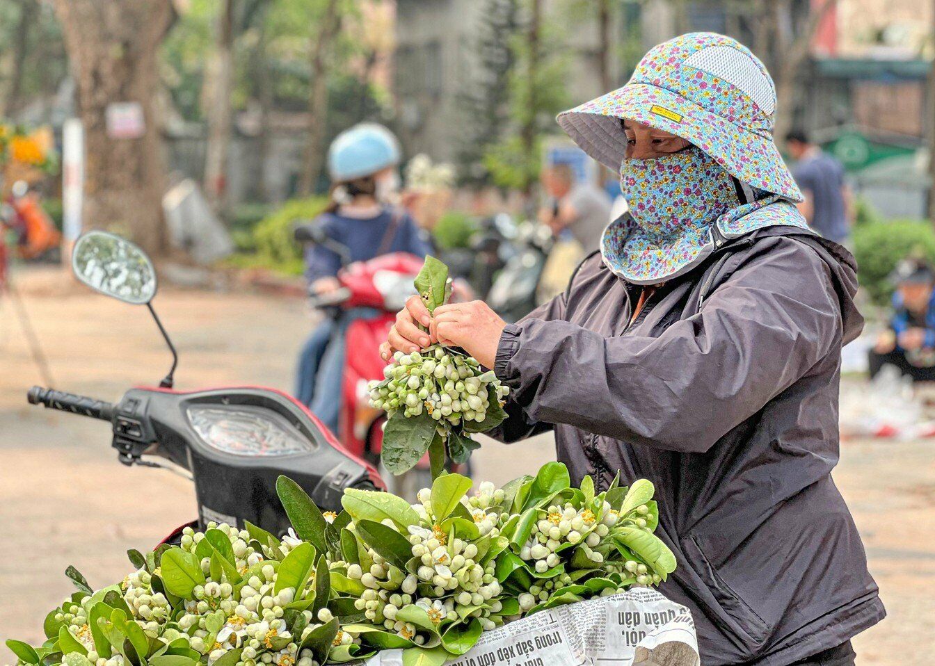 Chị Hiền (qu&ecirc; ở Bắc Giang) b&aacute;n hoa bưởi tr&ecirc;n đường Mai Xu&acirc;n Thưởng cho biết, năm n&agrave;o cũng vậy, cứ cuối th&aacute;ng 2 đầu th&aacute;ng 3 dương lịch chị cũng lấy hoa bưởi ở vườn rồi mang đến những con phố tại H&agrave; Nội để b&aacute;n cho kh&aacute;ch.