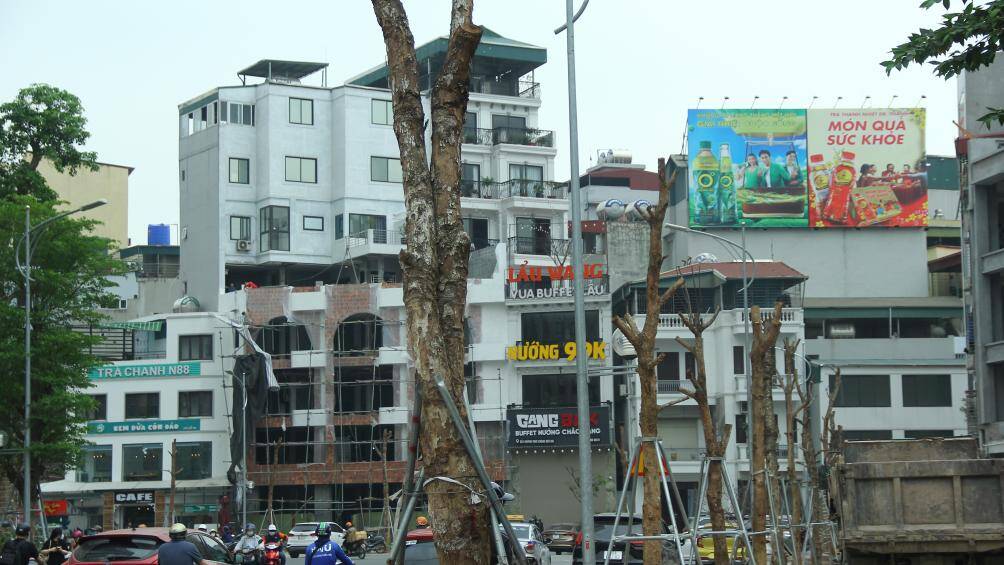 Kh&ocirc;ng &iacute;t &yacute; kiến cho rằng, đ&acirc;y l&agrave; sự l&atilde;ng ph&iacute; lớn ng&acirc;n s&aacute;ch khi trồng c&acirc;y rồi để chết kh&ocirc;.