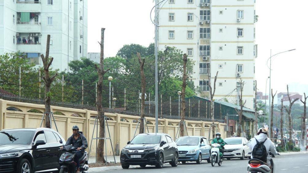 Tuyến đường thiết kế bề rộng mặt cắt ngang 28,3 - 30m, gồm l&ograve;ng đường 15m, phần lớn vỉa h&egrave; 7,5m. Ngo&agrave;i ra, tuyến đường c&oacute; hệ thống đ&egrave;n chiếu s&aacute;ng, c&acirc;y xanh đầy đủ.