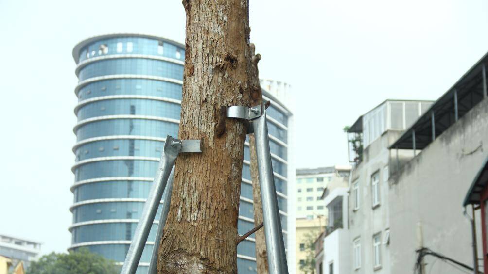 Việc g&ocirc;ng sắt chống đỡ c&acirc;y bị hư hỏng g&acirc;y nguy hiểm cho người tham gia giao th&ocirc;ng. B&ecirc;n cạnh đ&oacute;, việc h&agrave;ng loạt c&acirc;y xanh chậm ph&aacute;t triển hoặc kh&ocirc;ng c&oacute; sự sống g&acirc;y thất vọng trong việc giảm thiểu &ocirc; nhiễm, tạo cảnh quan.