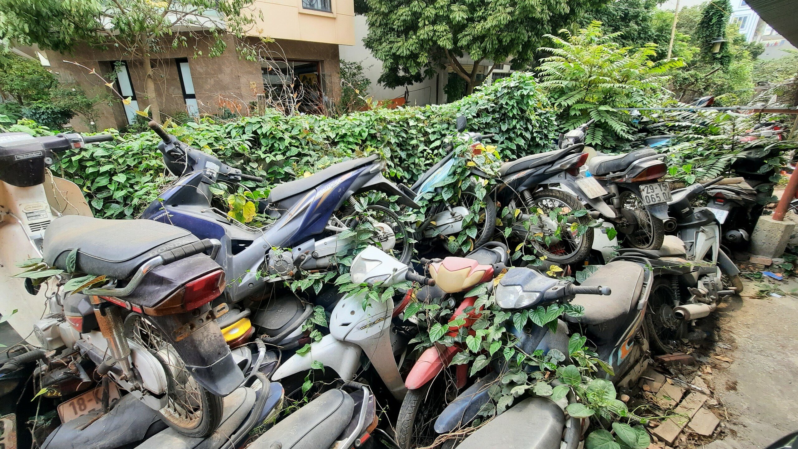 Theo kinh nghiệm của &ocirc;ng Thốn, thường th&igrave; những chiếc xe m&aacute;y hơn 1 th&aacute;ng m&agrave; kh&ocirc;ng c&oacute; chủ đến l&agrave;m thủ tục lấy về th&igrave; tức l&agrave; chủ xe đ&atilde; bỏ lại.