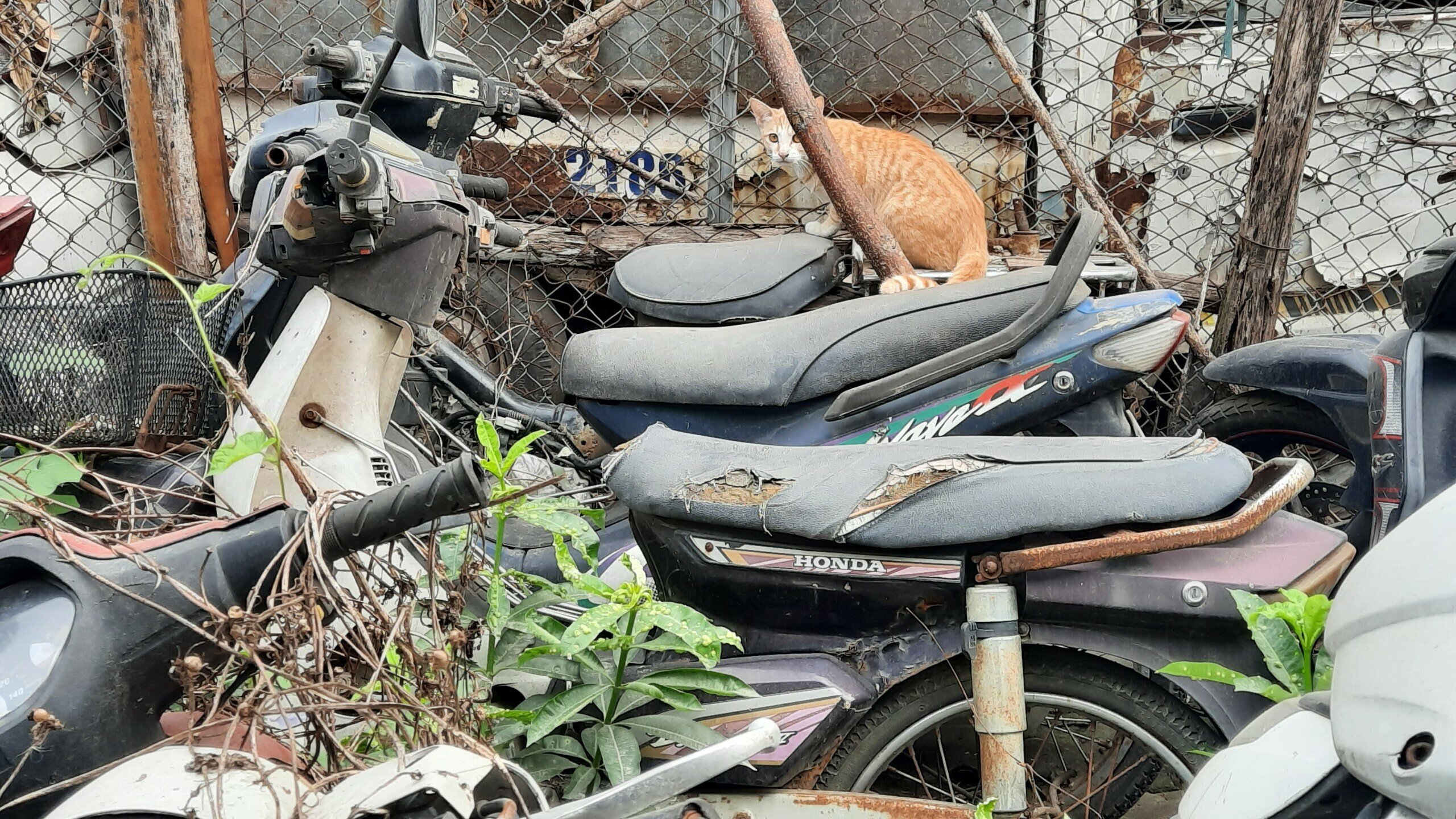 "Nếu họ muốn lấy về th&igrave; trong v&ograve;ng 1 th&aacute;ng sẽ đến l&agrave;m thủ tục lấy xe, c&ograve;n kh&ocirc;ng th&igrave; 90% l&agrave; bỏ. Nguy&ecirc;n nh&acirc;n chủ yếu l&agrave; tiền phạt nhiều hơn gi&aacute; trị xe", &ocirc;ng Thốn cho biết.