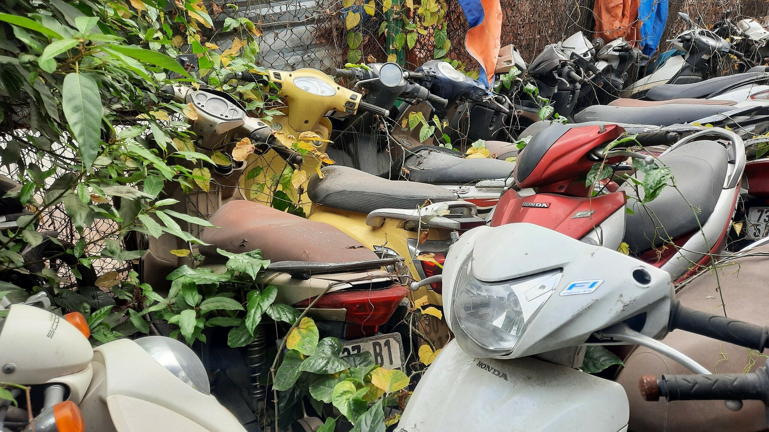 "Lỗi vi phạm nồng độ cồn buộc phải giữ xe của người vi phạm, mức phạt lại rất cao, ch&iacute;nh v&igrave; thế người điều khiển xe m&aacute;y nếu thấy gi&aacute; trị xe thấp hơn tiền phạt th&igrave; họ sẵn s&agrave;ng bỏ xe, kh&ocirc;ng l&agrave;m thủ tục lấy về", &ocirc;ng Chinh n&oacute;i.