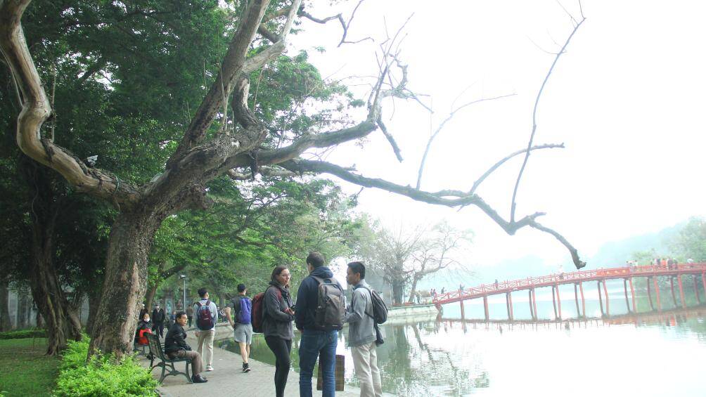 Quanh khu vực hồ Gươm (c&ograve;n gọi l&agrave; hồ Ho&agrave;n Kiếm) c&oacute; rất nhiều lo&agrave;i c&acirc;y toả b&oacute;ng m&aacute;t quanh năm, trong đ&oacute; c&oacute; nhiều c&acirc;y cổ thụ qu&yacute; hiếm. Đặc biệt l&agrave; c&acirc;y sưa đỏ - loại c&acirc;y c&oacute; thường được v&iacute; qu&yacute; như v&agrave;ng.