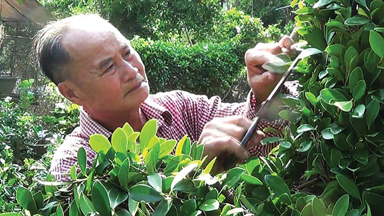 Gặp &ocirc;ng chủ &ldquo;vườn b&aacute;ch th&uacute;&rdquo; hoa kiểng miền T&acirc;y