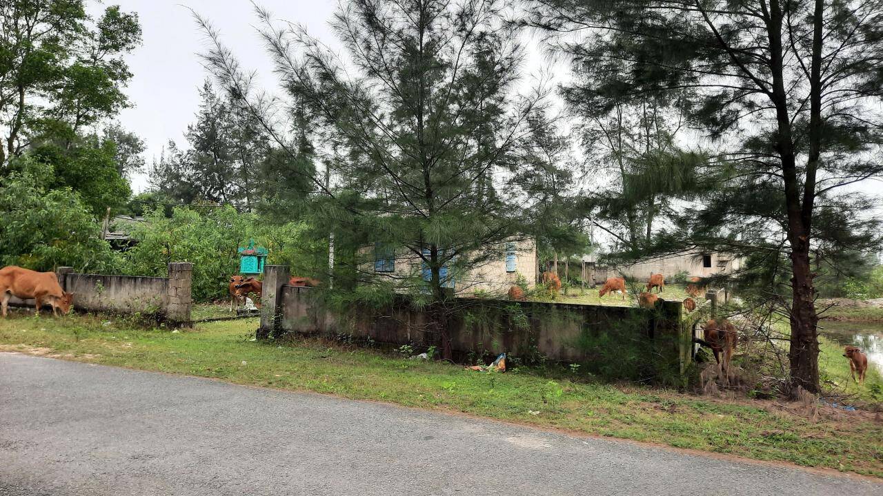 Khu bến cảng hơn 14.000 tỷ ở Quảng Trị khi n&agrave;o mới thi c&ocirc;ng?